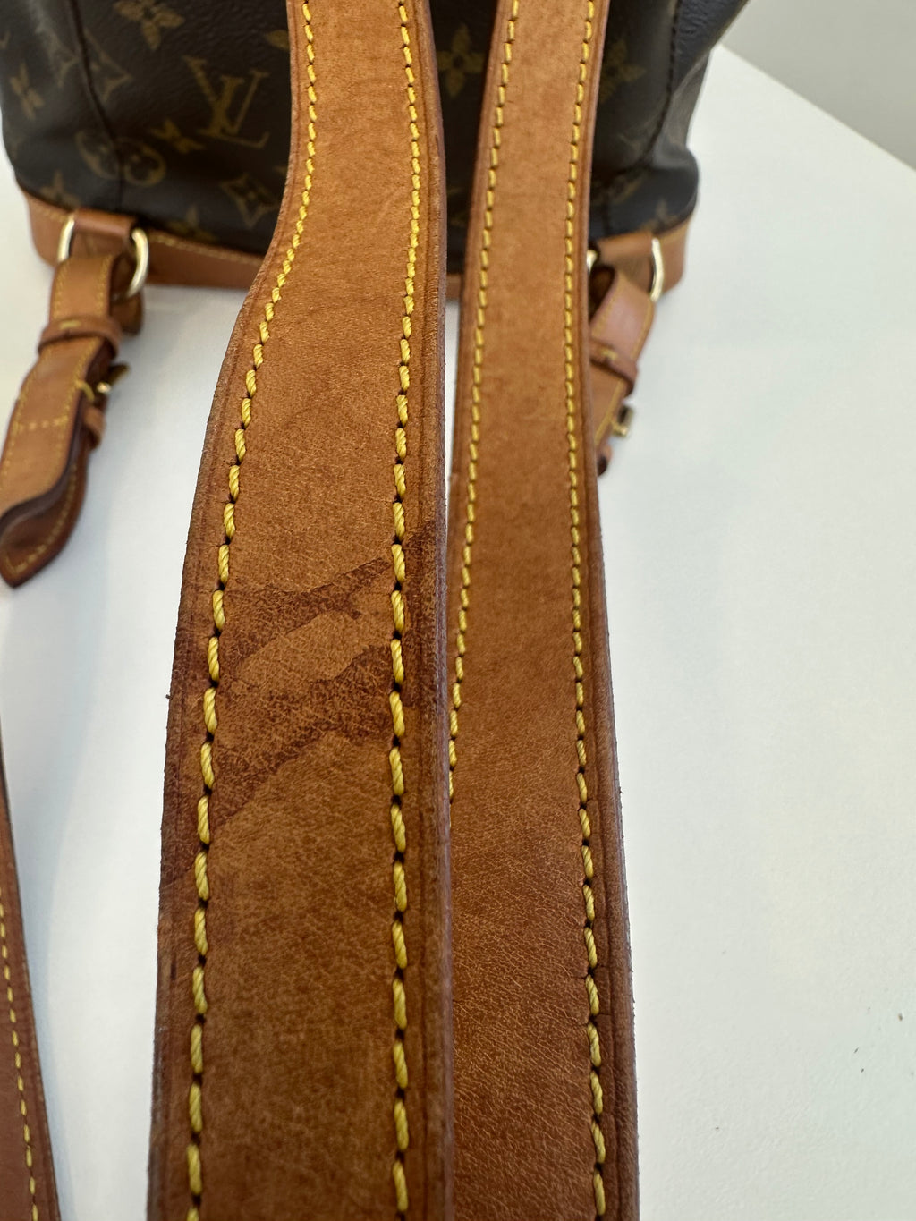 Louis Vuitton Montsouris MM