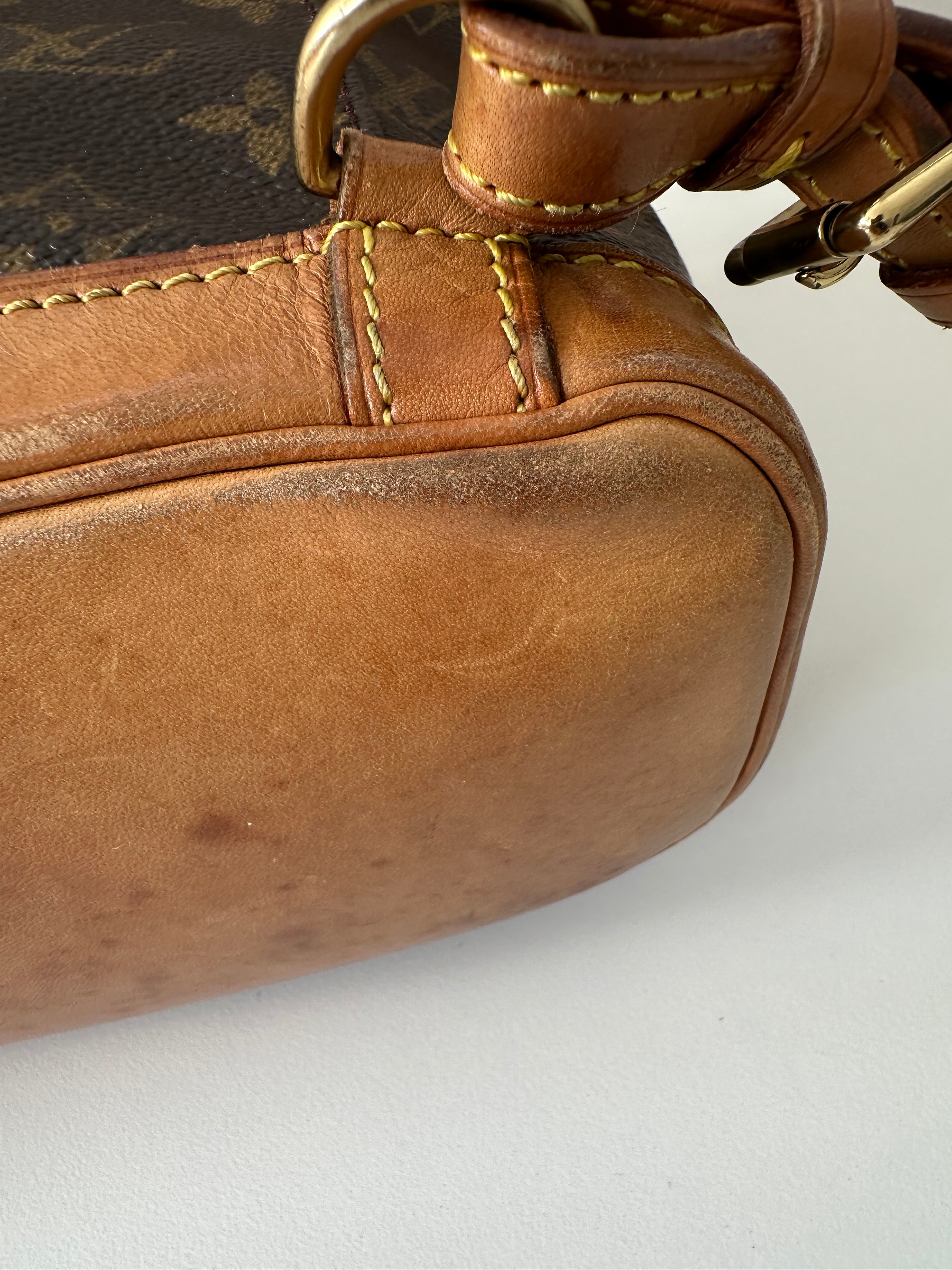 Louis Vuitton Montsouris Mini