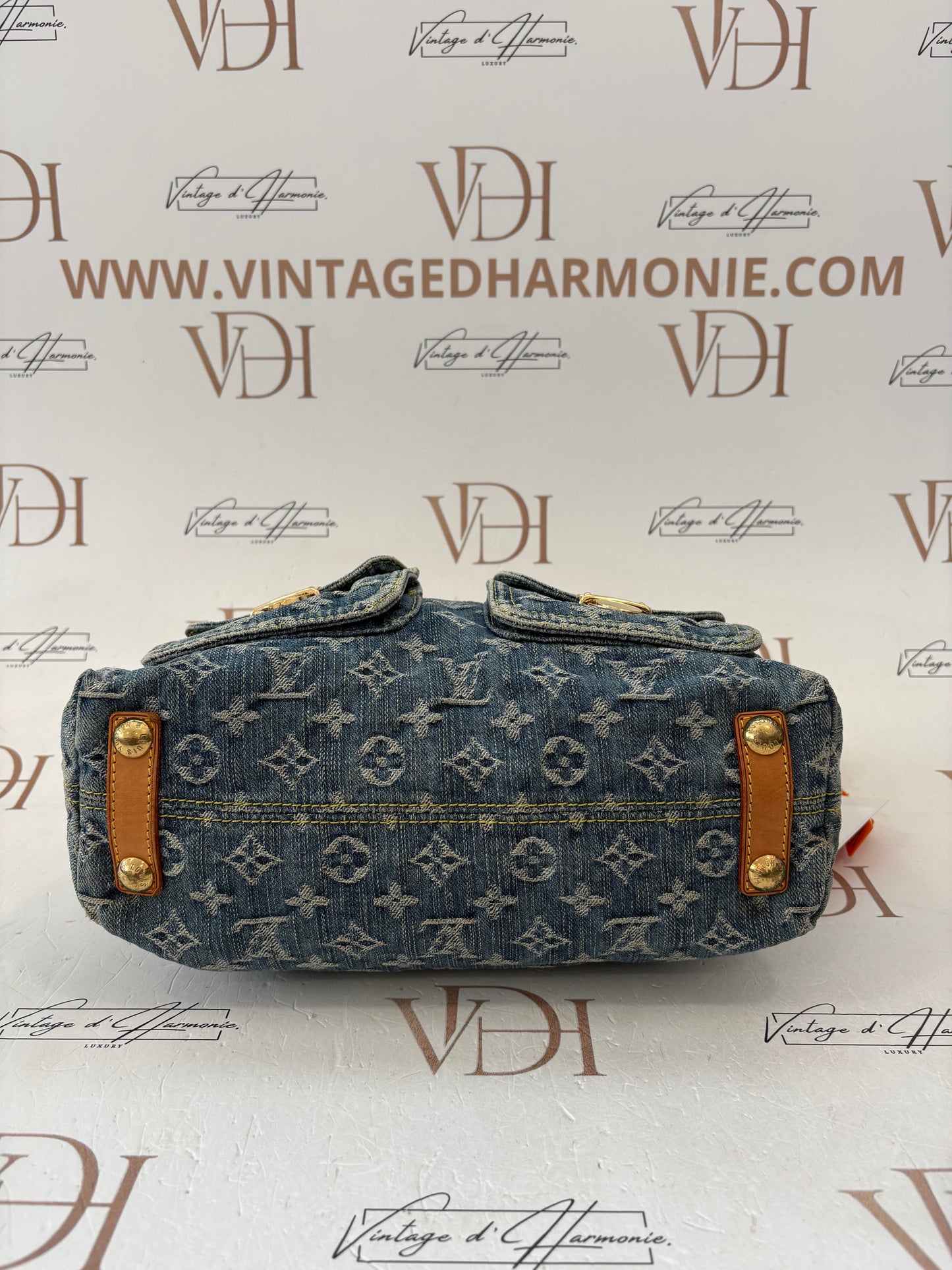 018804 - Louis Vuitton Baggy PM