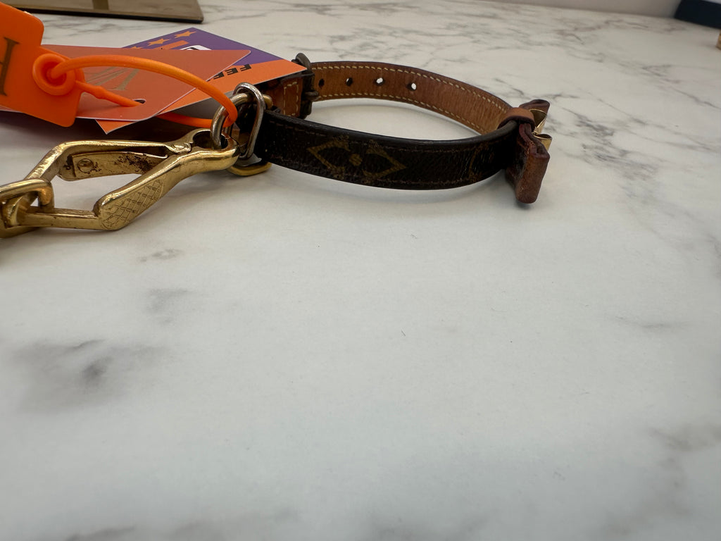 Louis Vuitton Collare+Guinzaglio