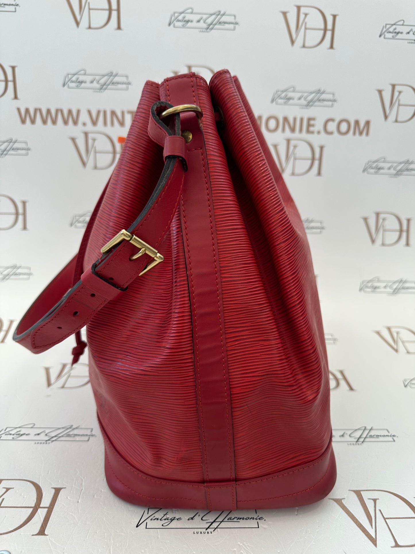 017848 - Louis Vuitton Red Epi Noè