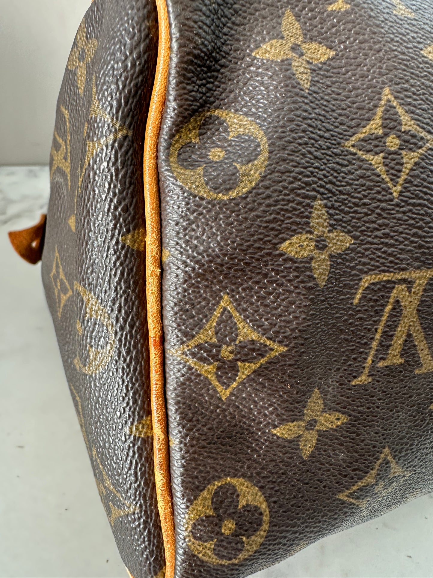 Louis Vuitton Speedy 25