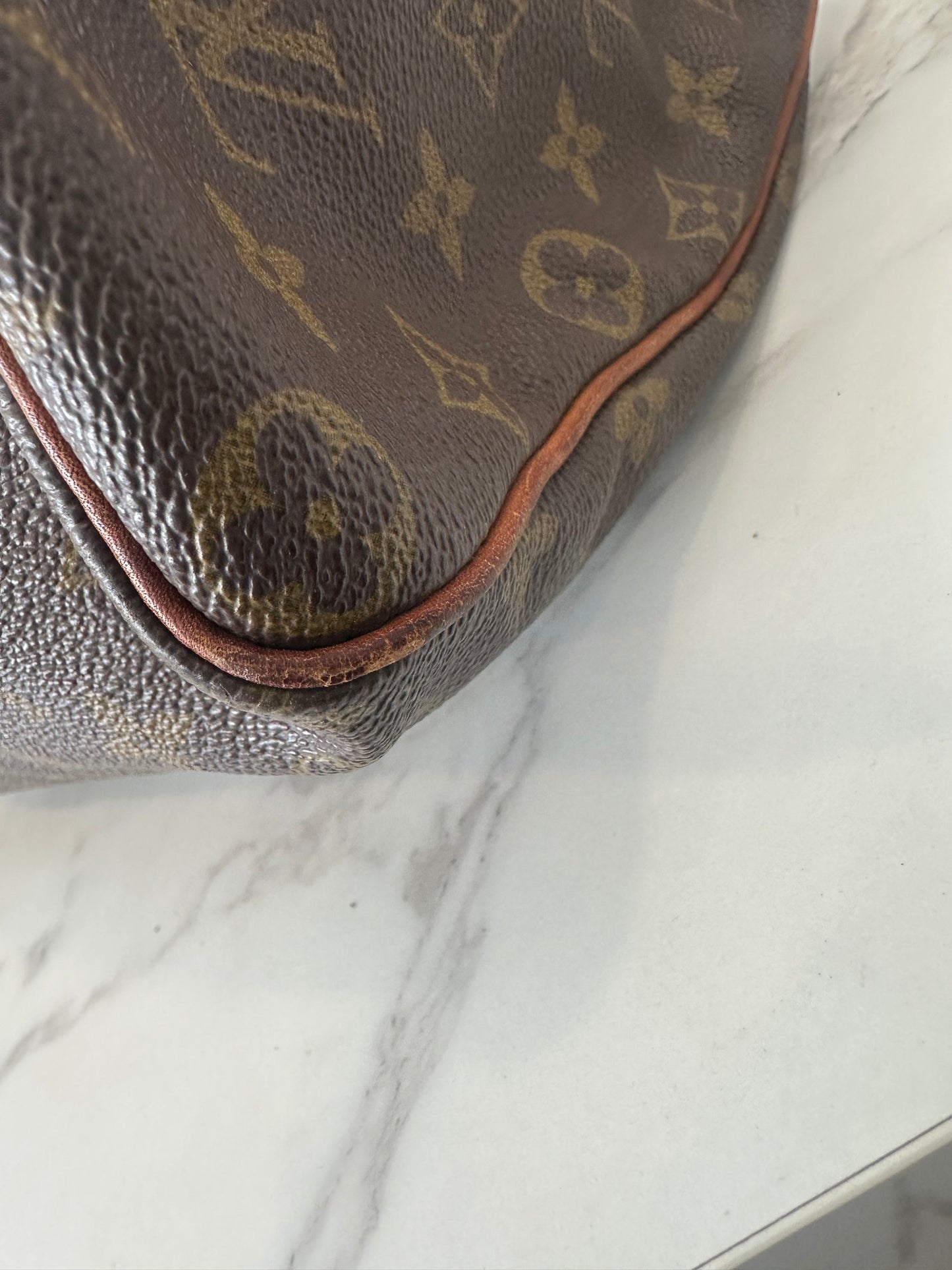 Louis Vuitton Speedy 35