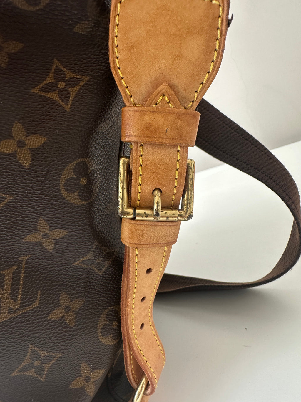 Louis Vuitton Montsouris GM