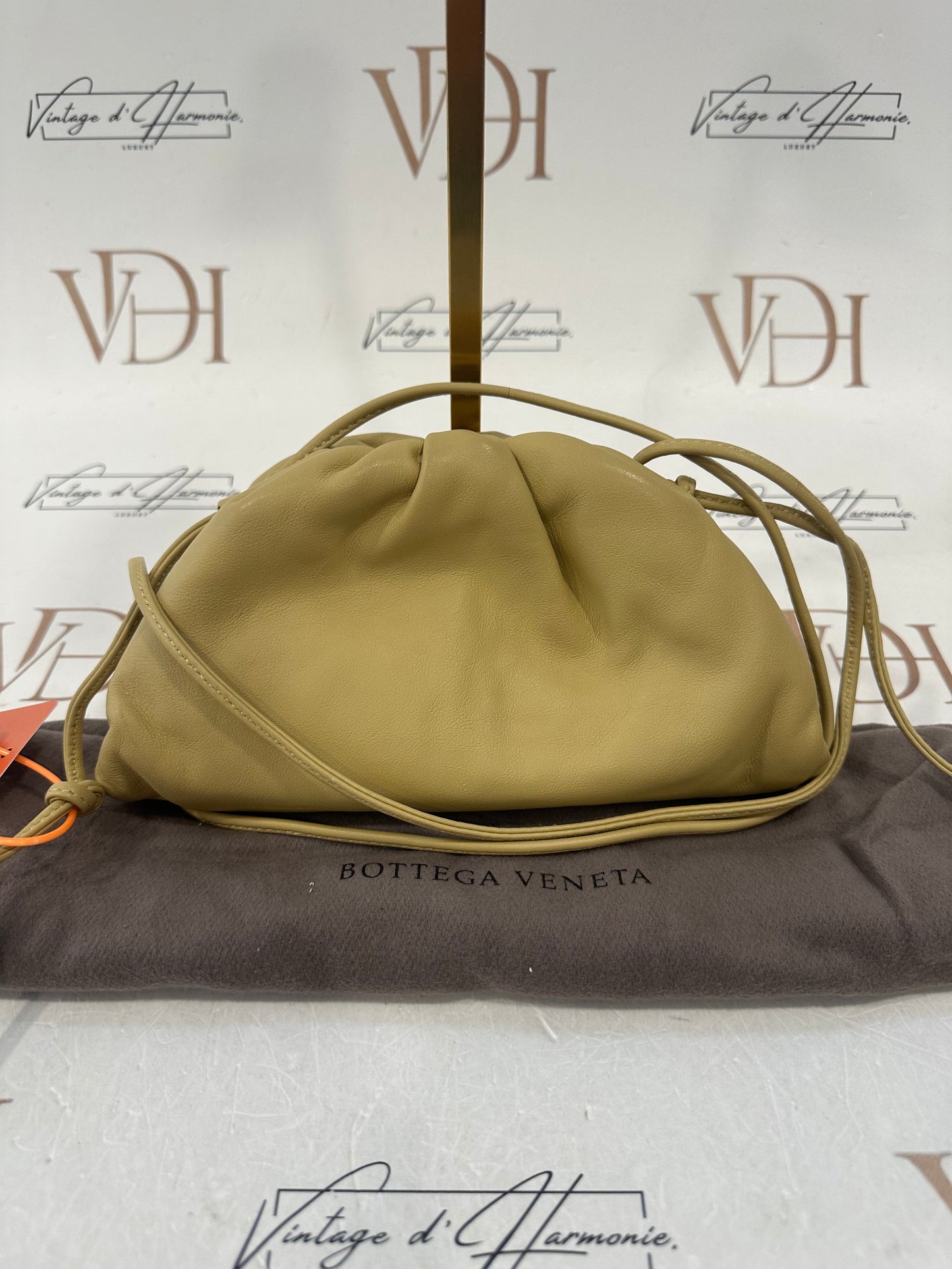 382779 - Bottega Veneta Pouch