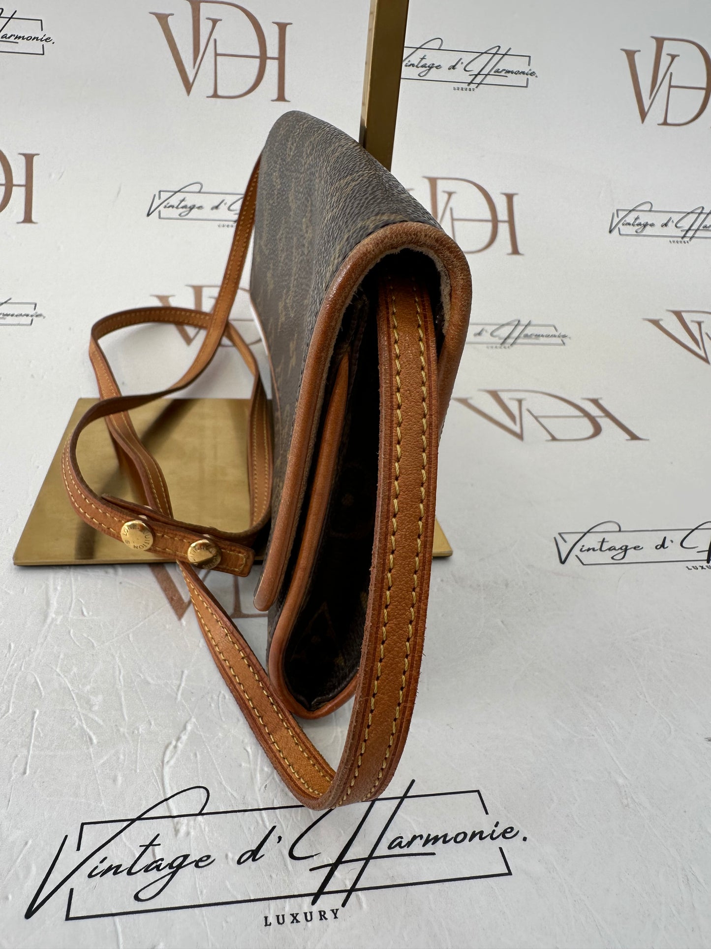 016859 - Louis Vuitton Pochette Twin GM