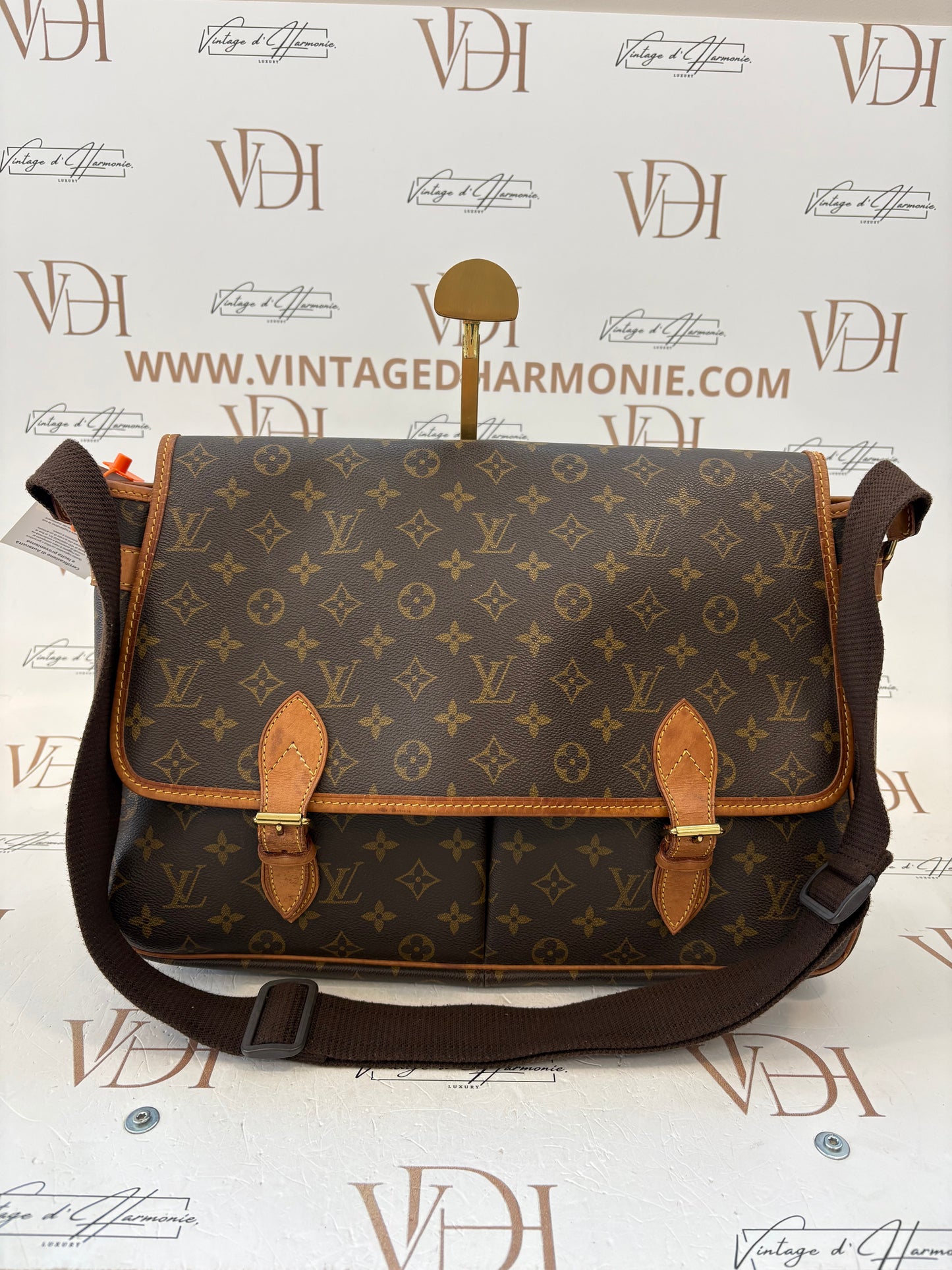 018720 - Louis Vuitton Gibeciere GM