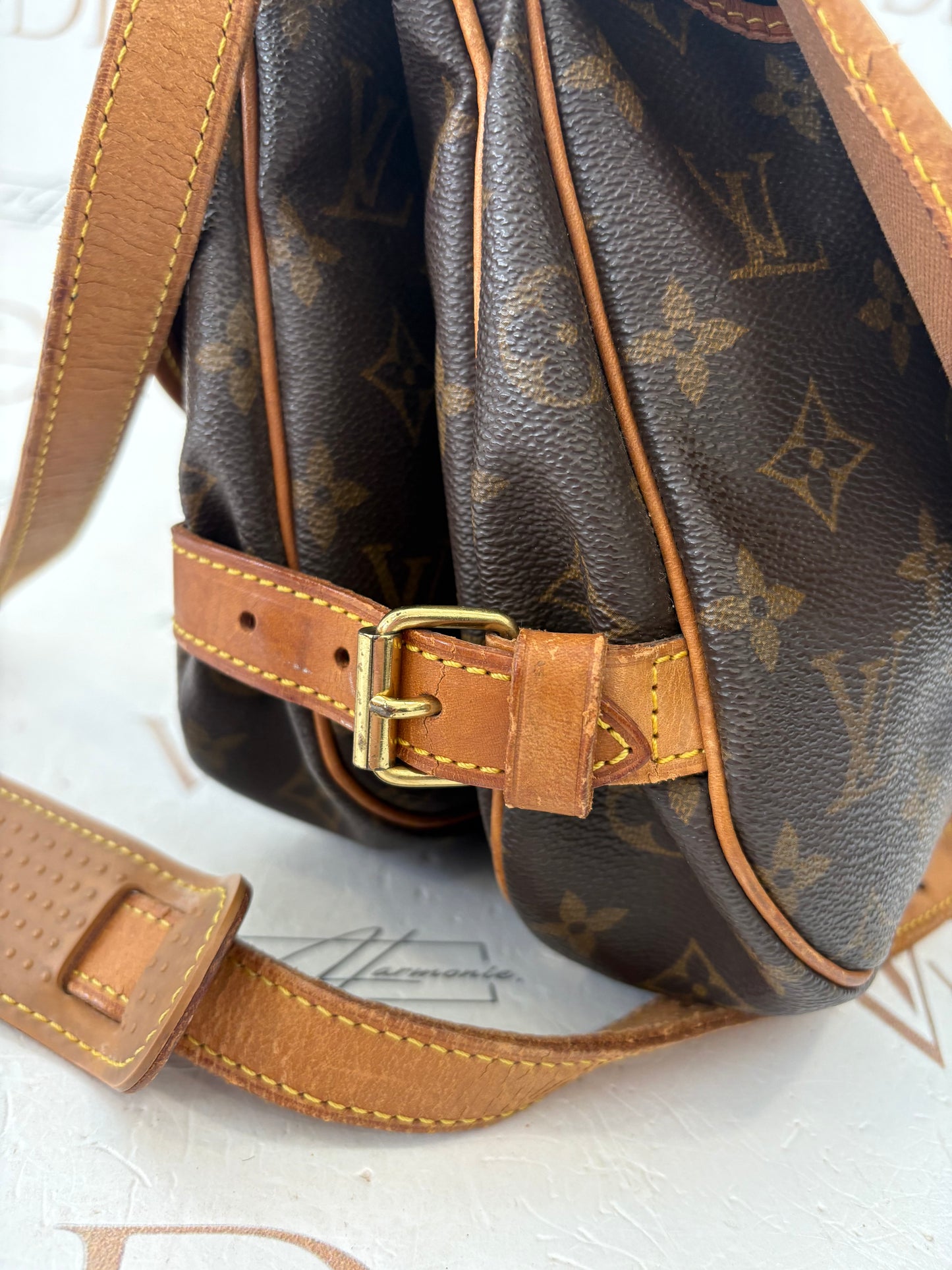018283 - Louis Vuitton Saumur 30