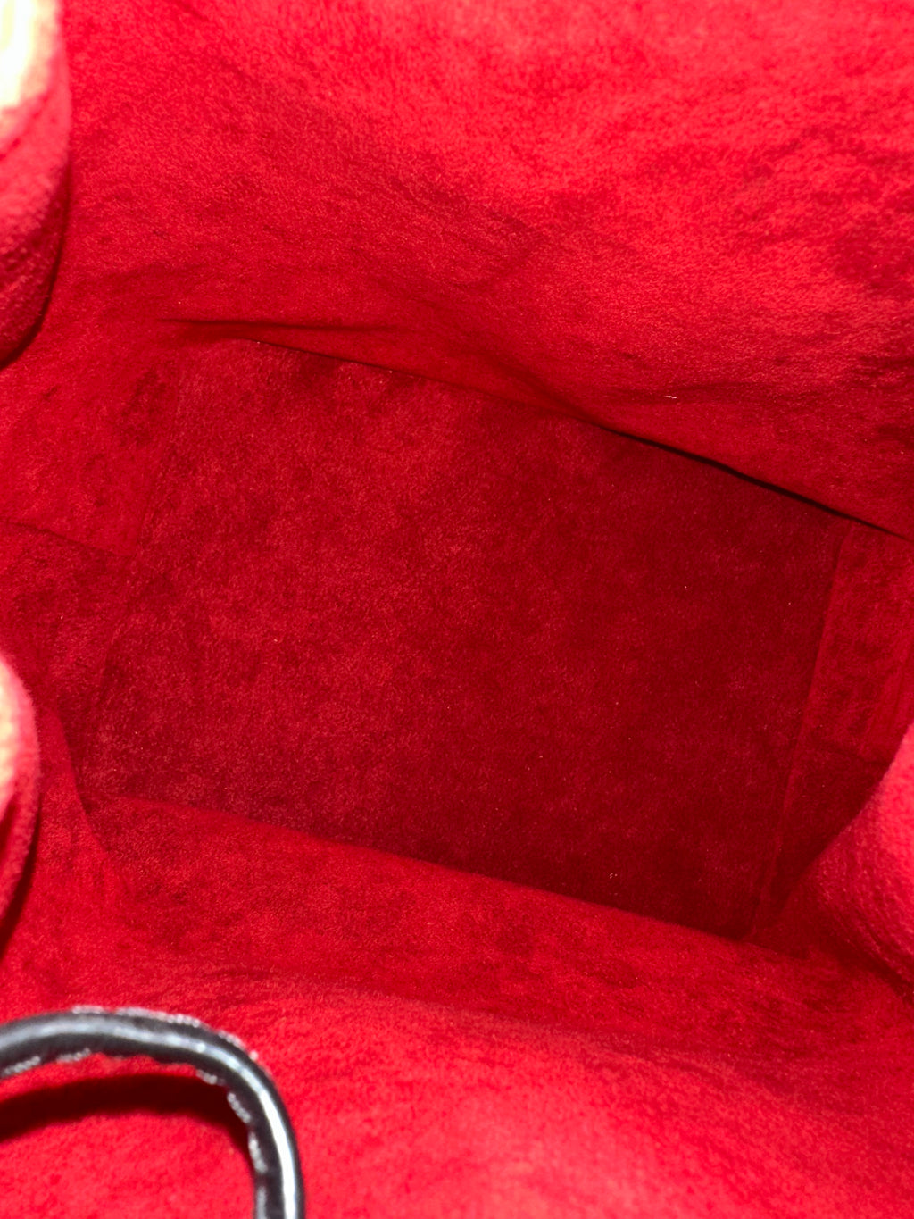 Louis Vuitton Petite Noé Epi Bicolor