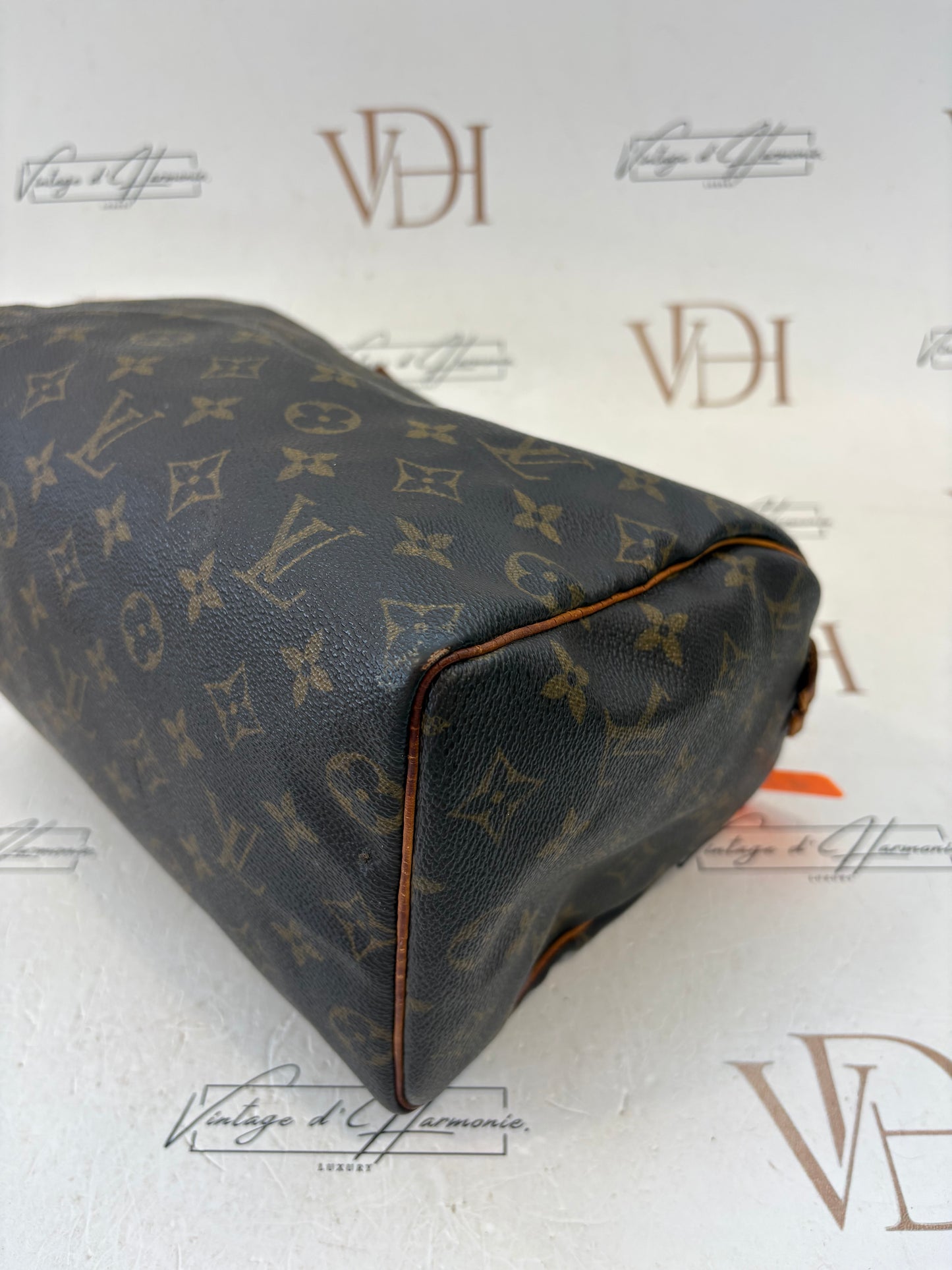 017317 - Louis Vuitton Speedy 25
