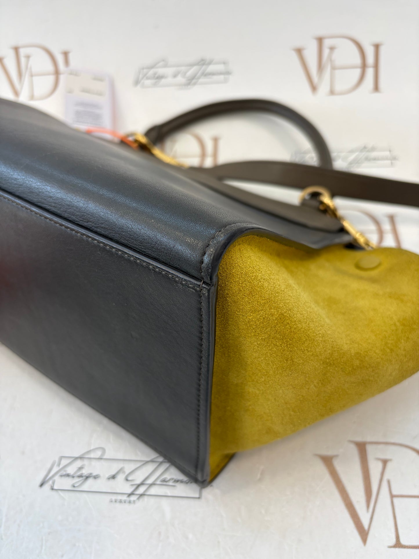 383703 - Céline Trapeze