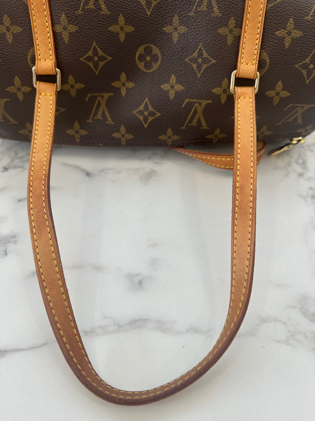 Louis Vuitton Papillon 30