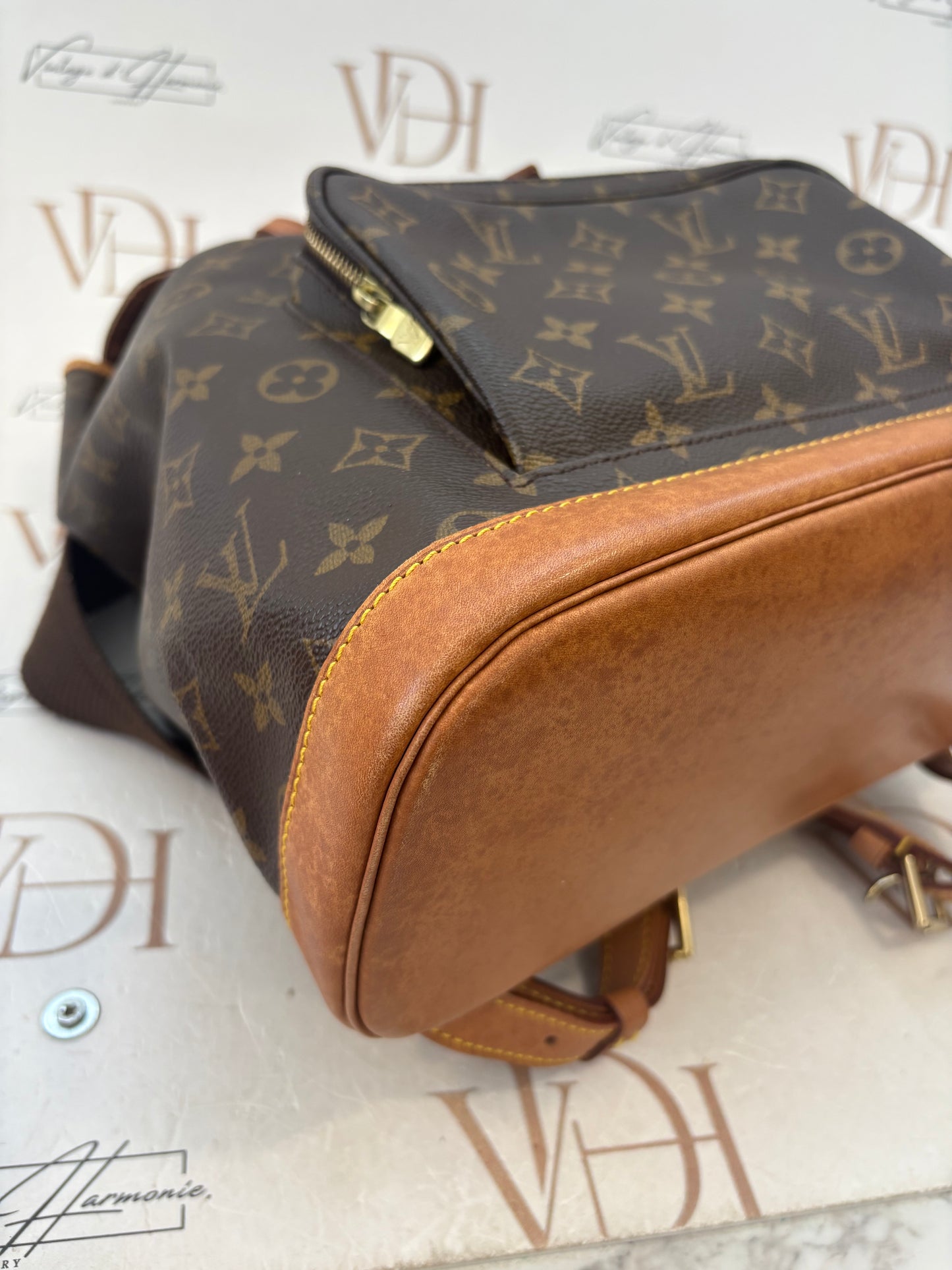 018911 - Louis Vuitton Montsouris GM