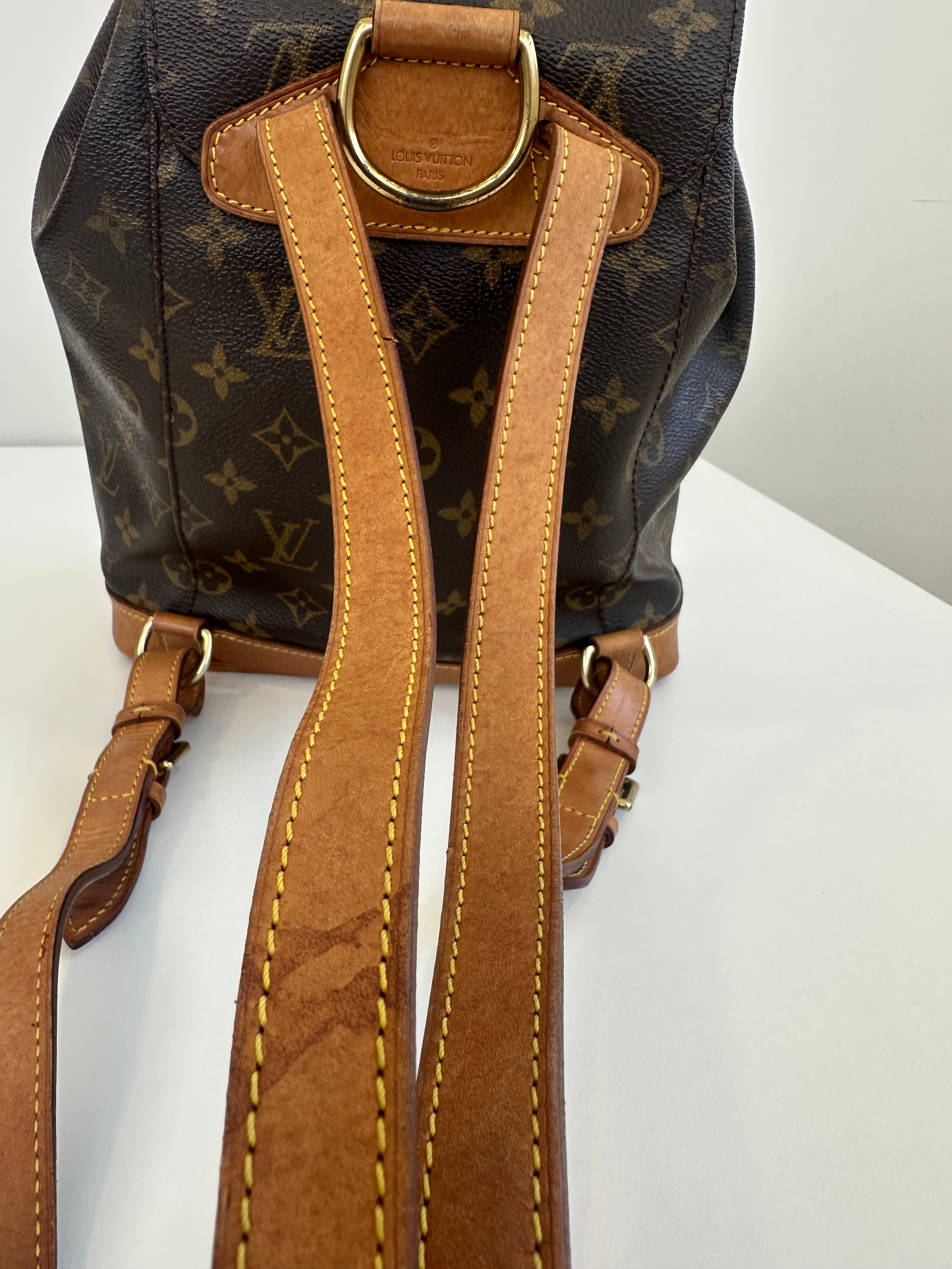 Louis Vuitton Montsouris MM