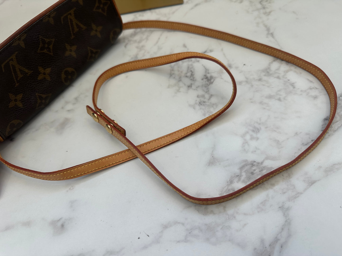 Louis Vuitton Pochette Twin PM