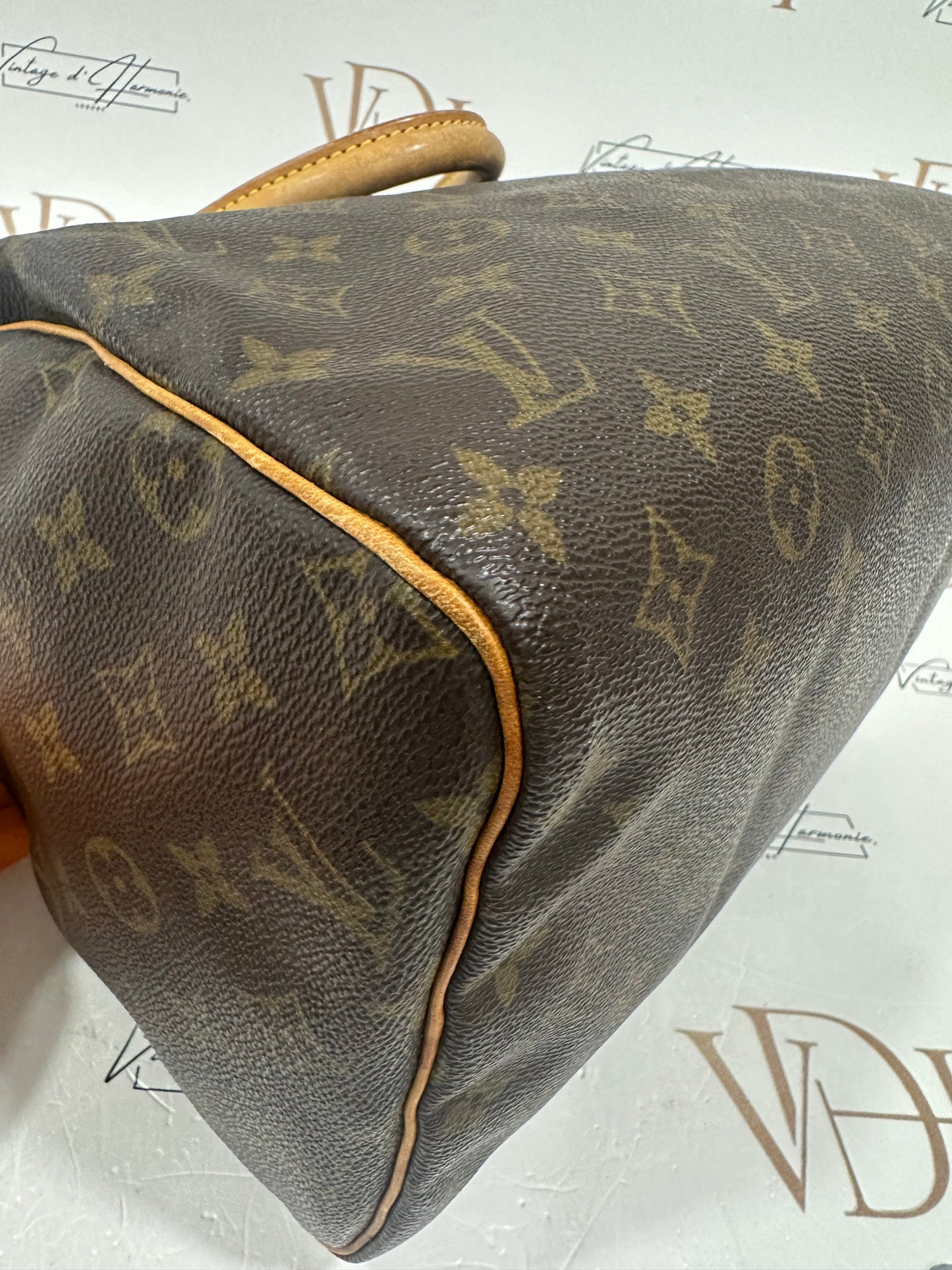 017724 - Louis Vuitton Speedy 30