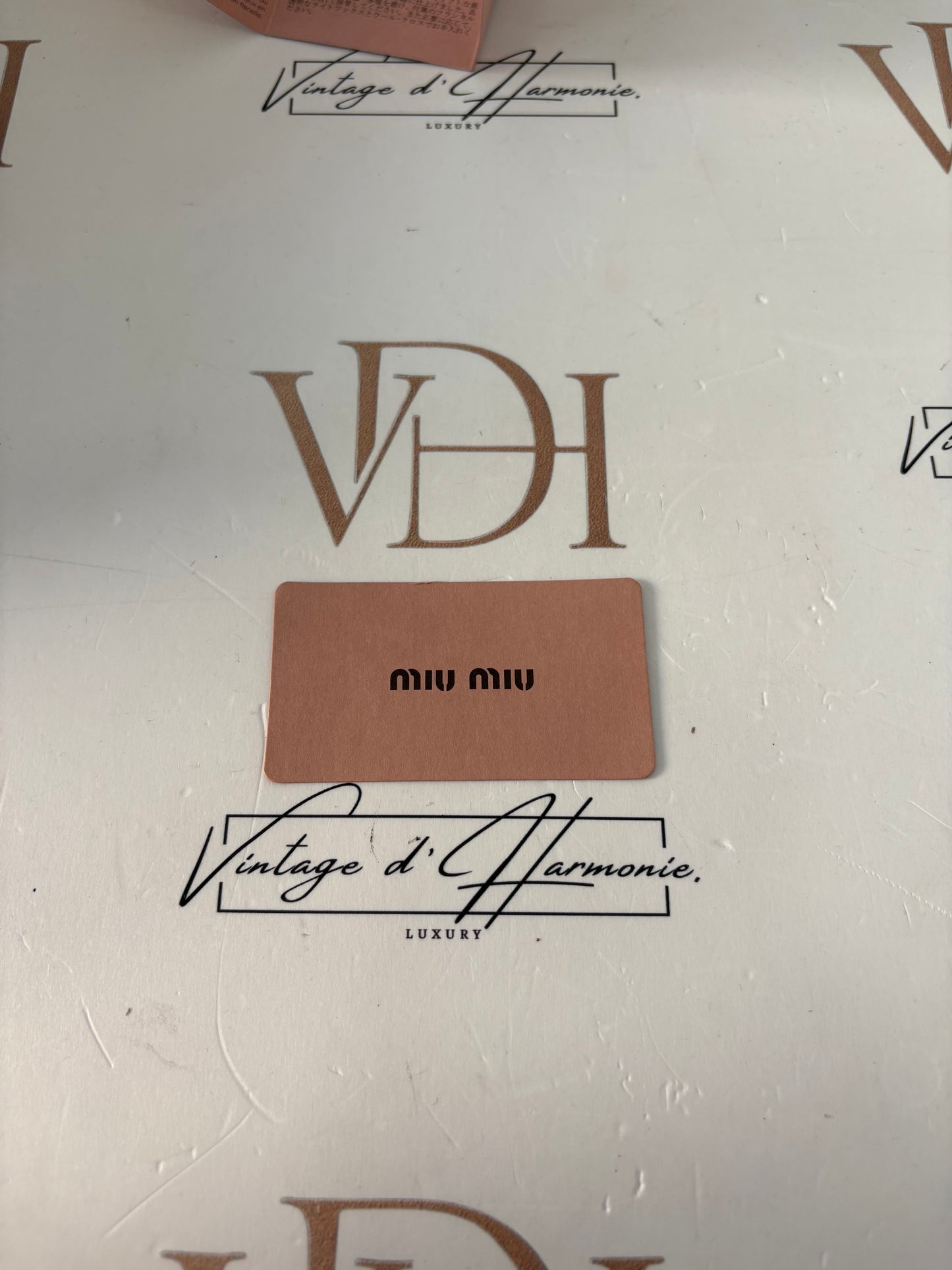 201706 - Miu Miu Coffer