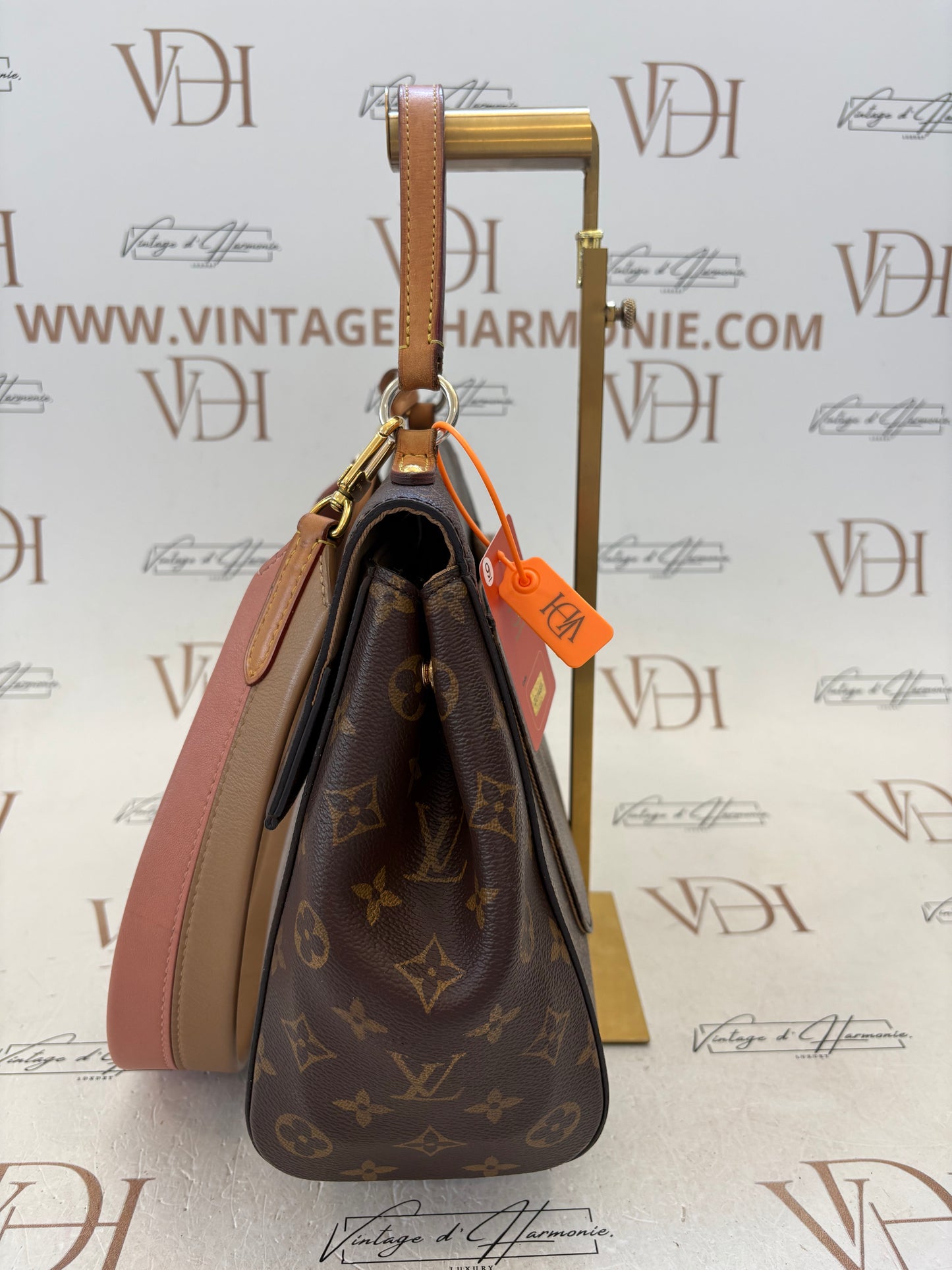 201487 - Louis Vuitton Cluny