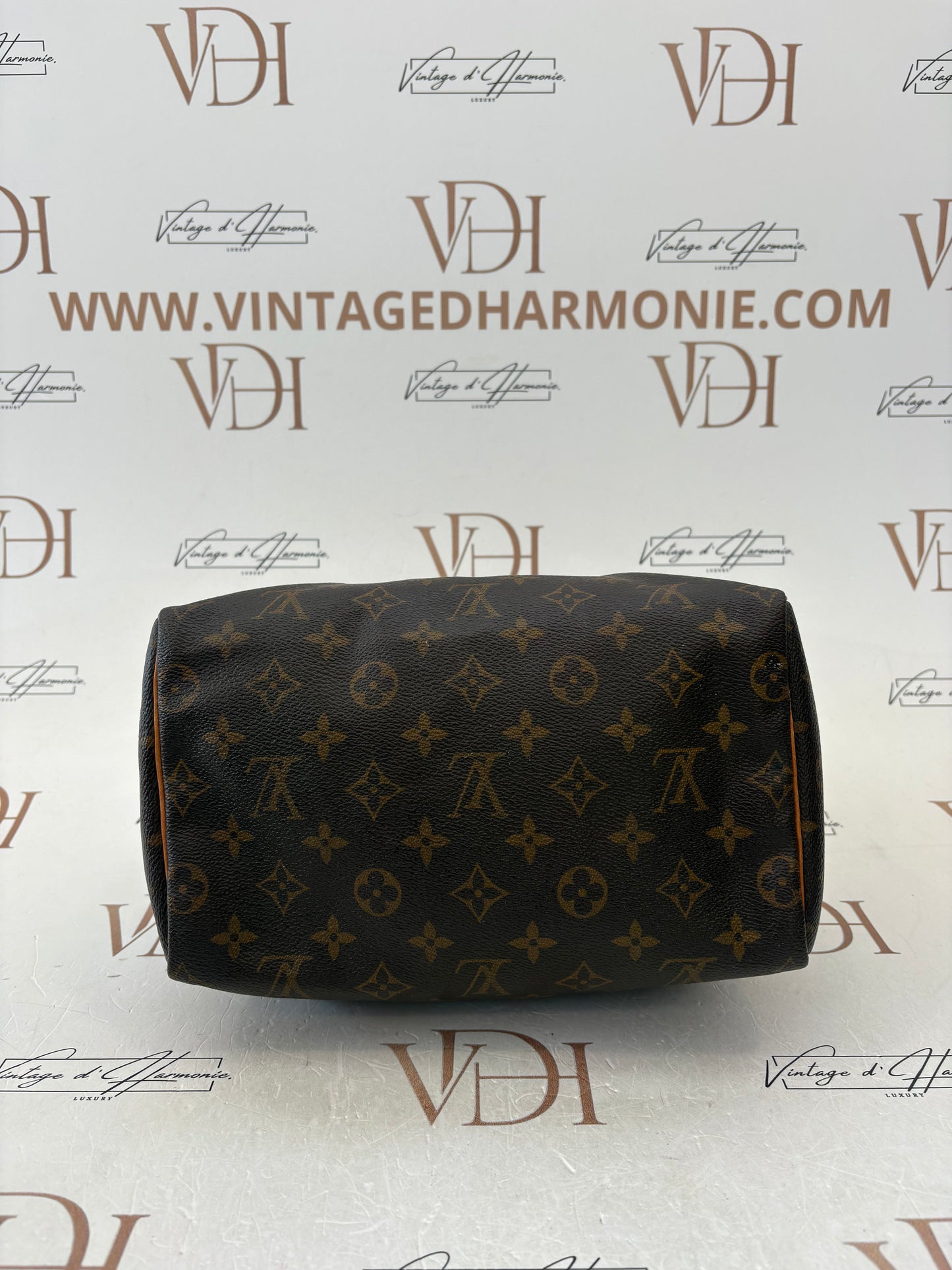 017738 - Louis Vuitton Speedy 25