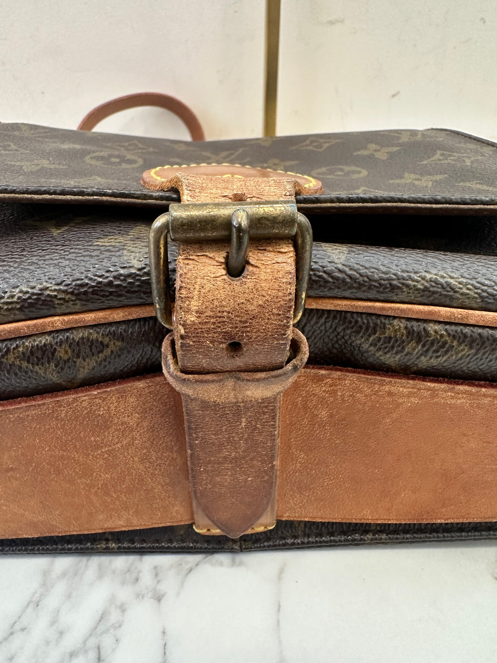 Louis Vuitton Cartouchiere MM