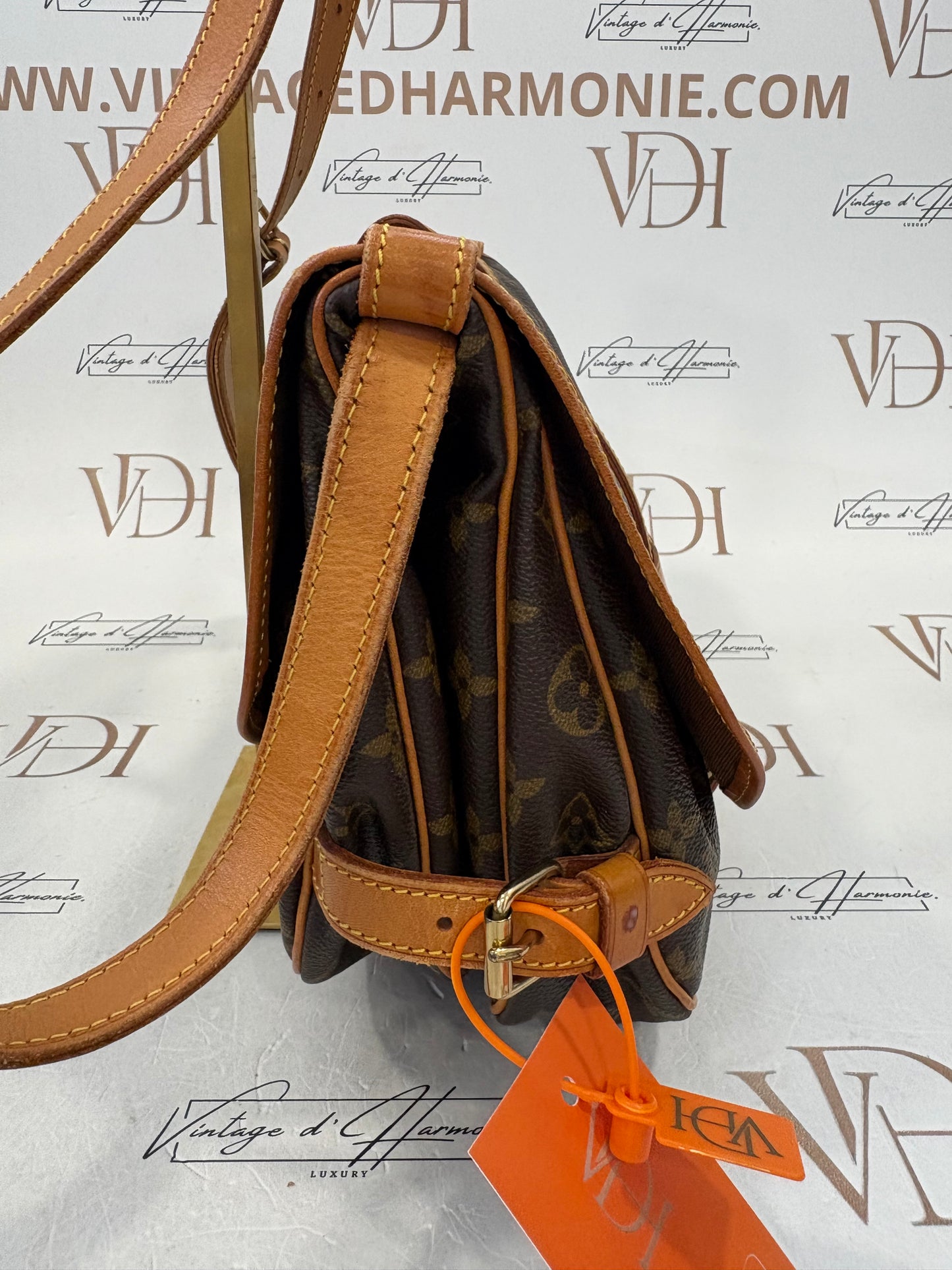 017643 - Louis Vuitton Saumur 30