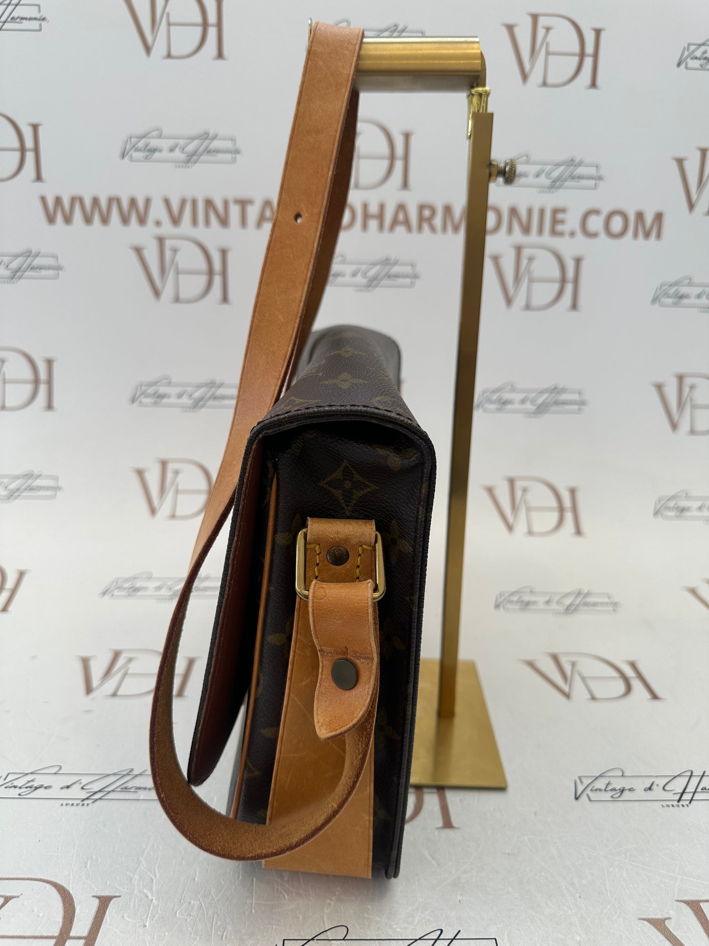 017925 - Louis Vuitton Cartouchiere