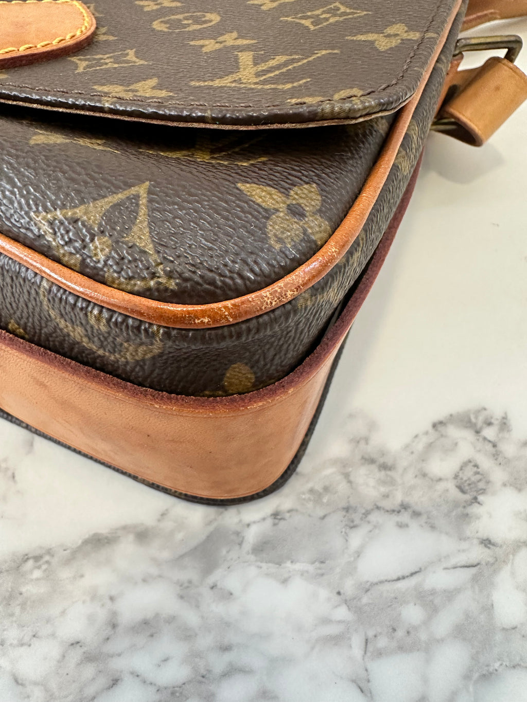 Louis Vuitton Cartouchiere MM