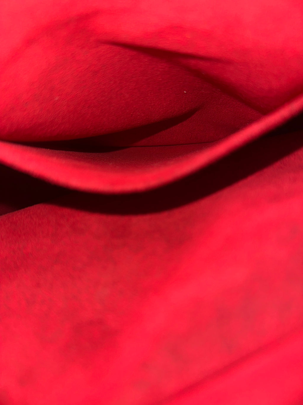 Louis Vuitton Exanthri cite