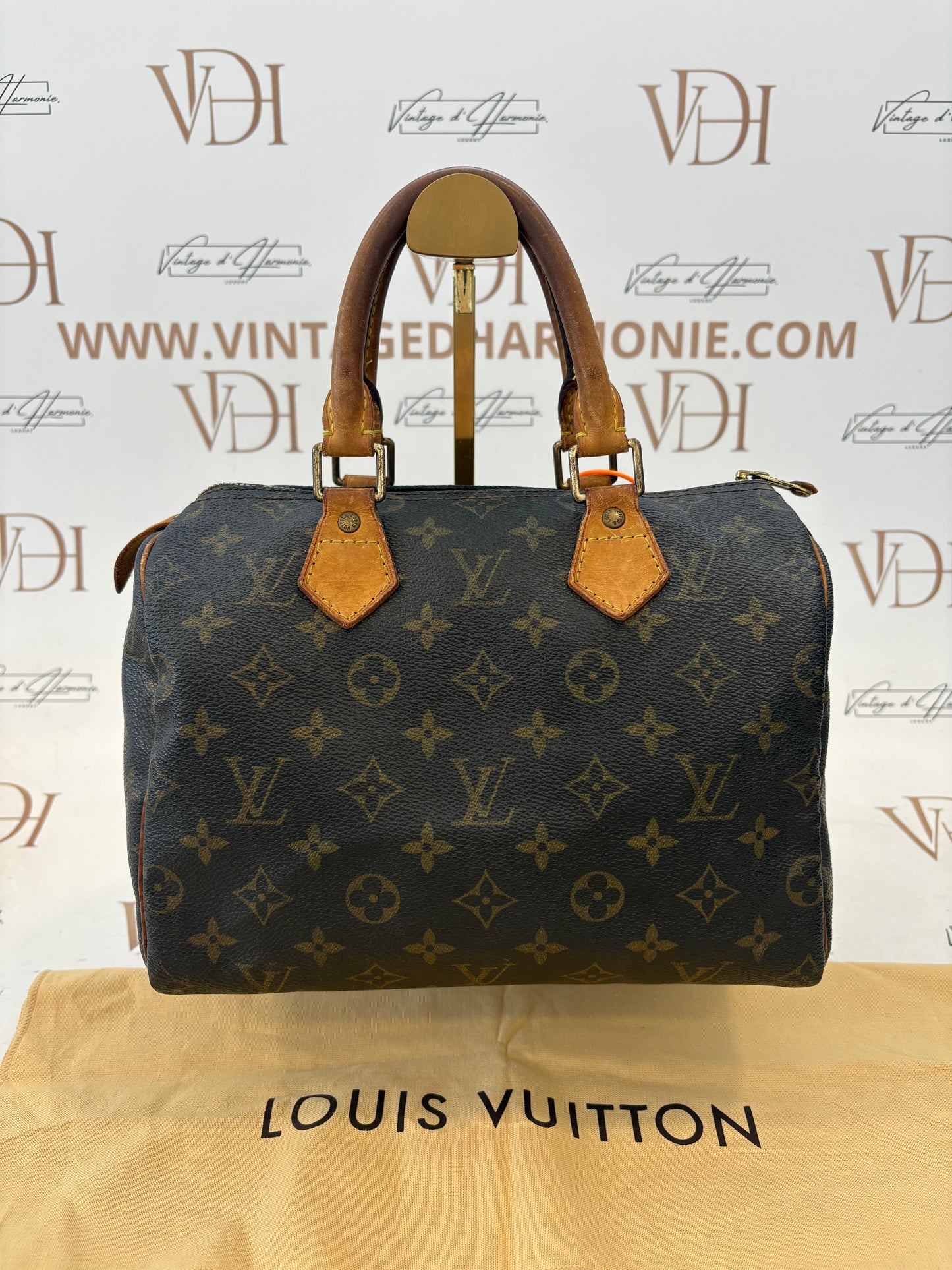 017317 - Louis Vuitton Speedy 25