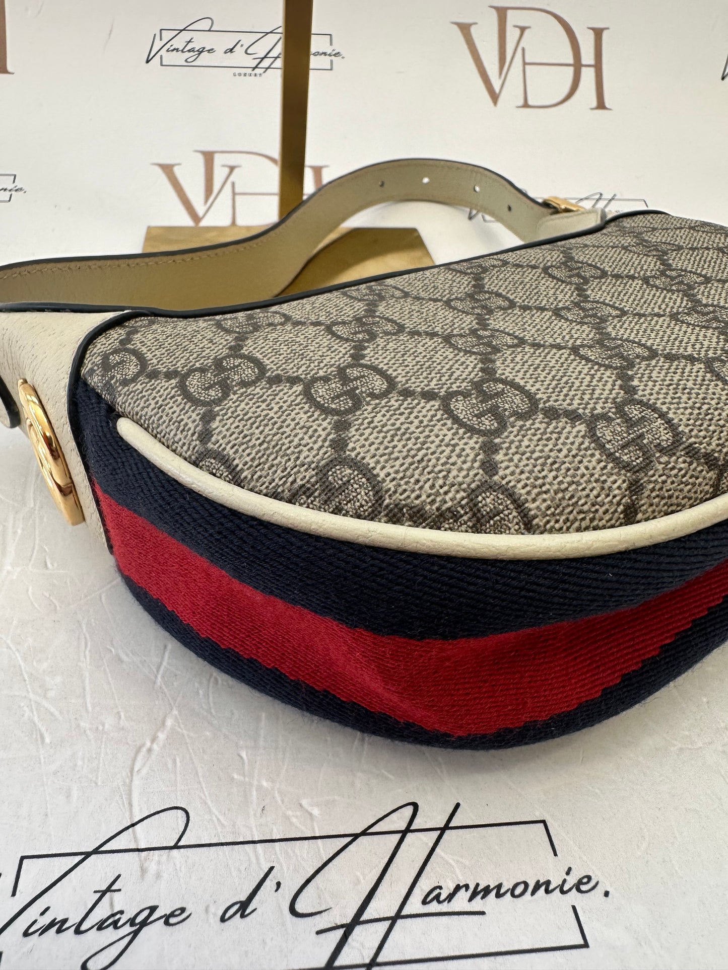 102523 - Gucci Ophidia
