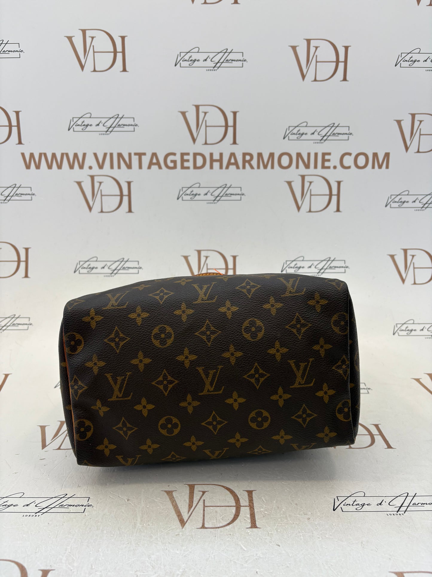 018249 - Louis Vuitton Speedy 25