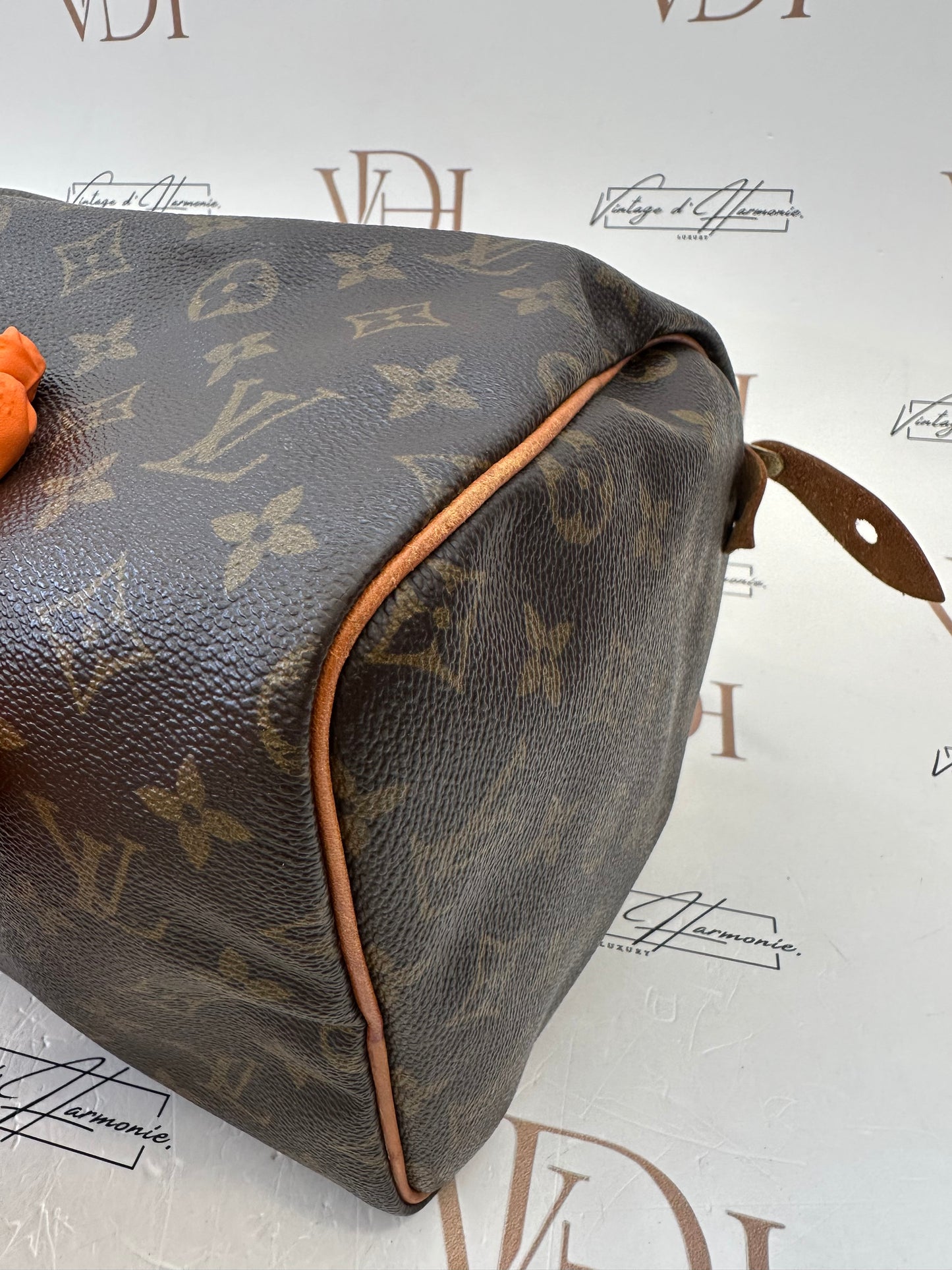 017846 - Louis Vuitton Speedy 30