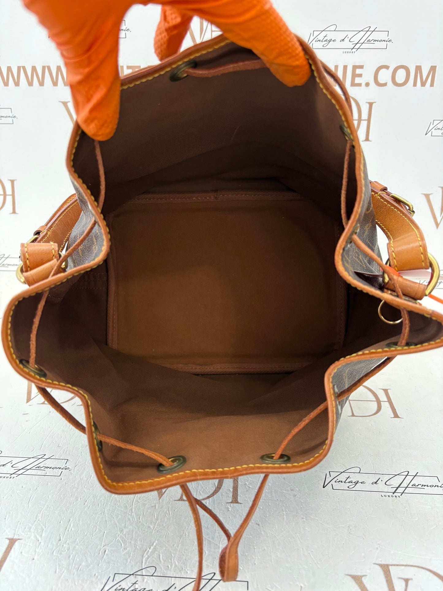 018246 - Louis Vuitton Petite Noé