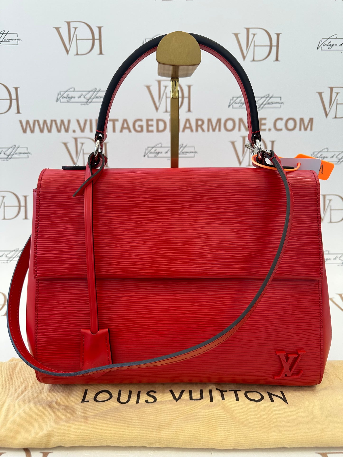 382649 - Louis Vuitton Cluny