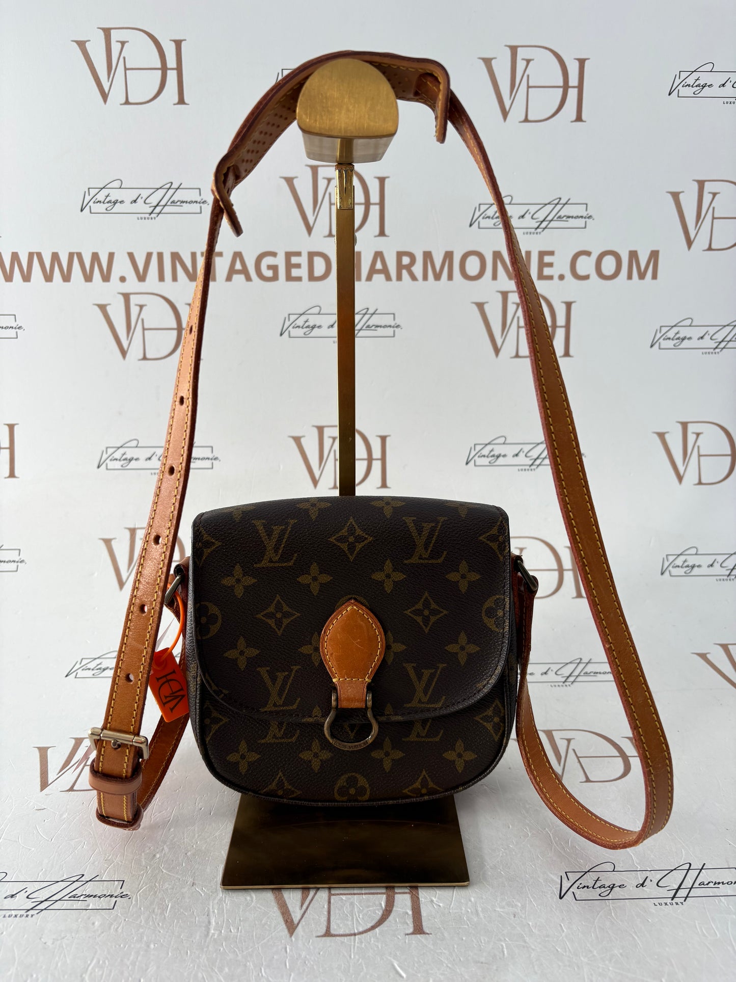 018920 - Louis Vuitton Saint Cloud PM