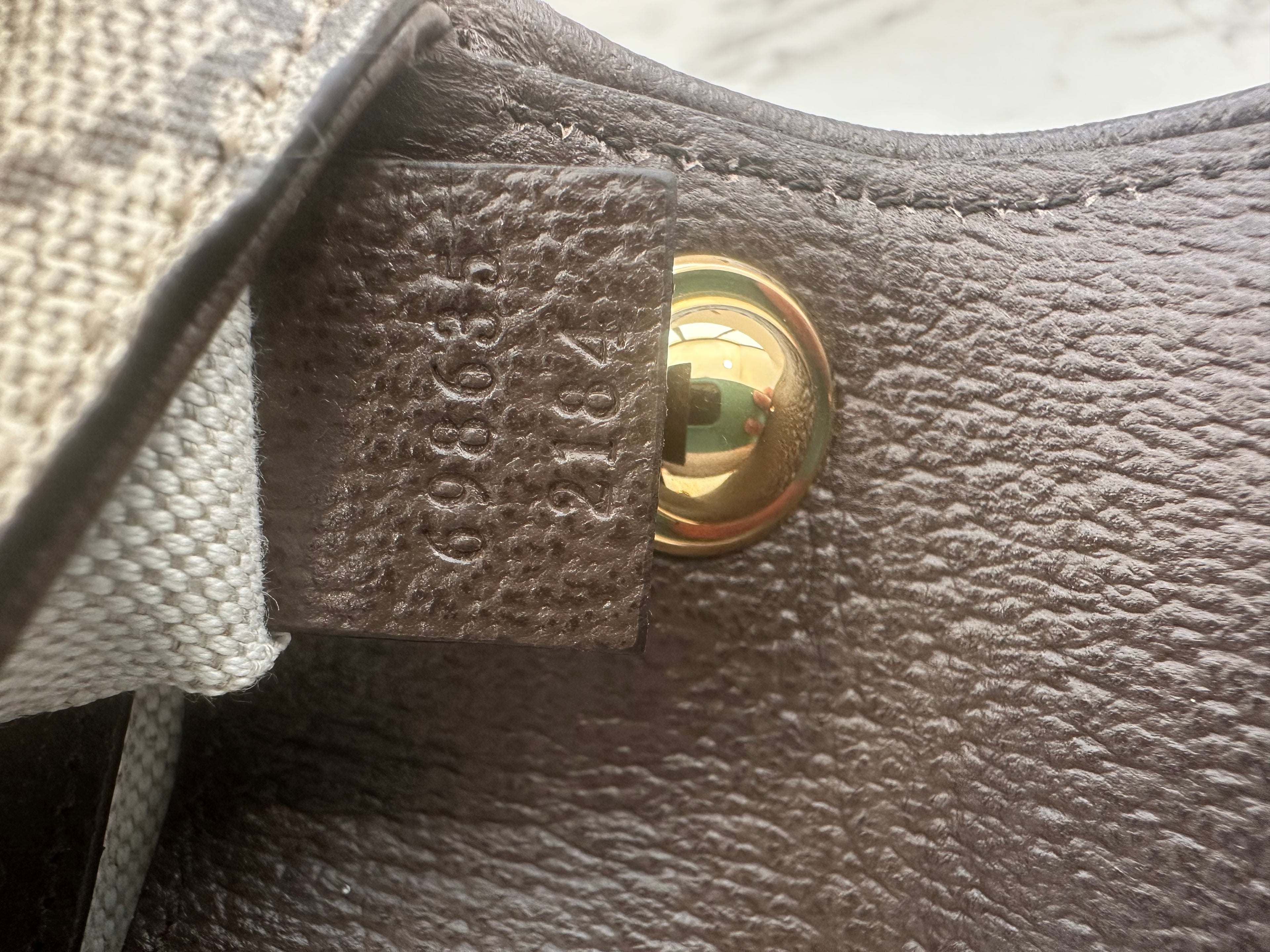 Gucci Brown GG Supreme Blondie