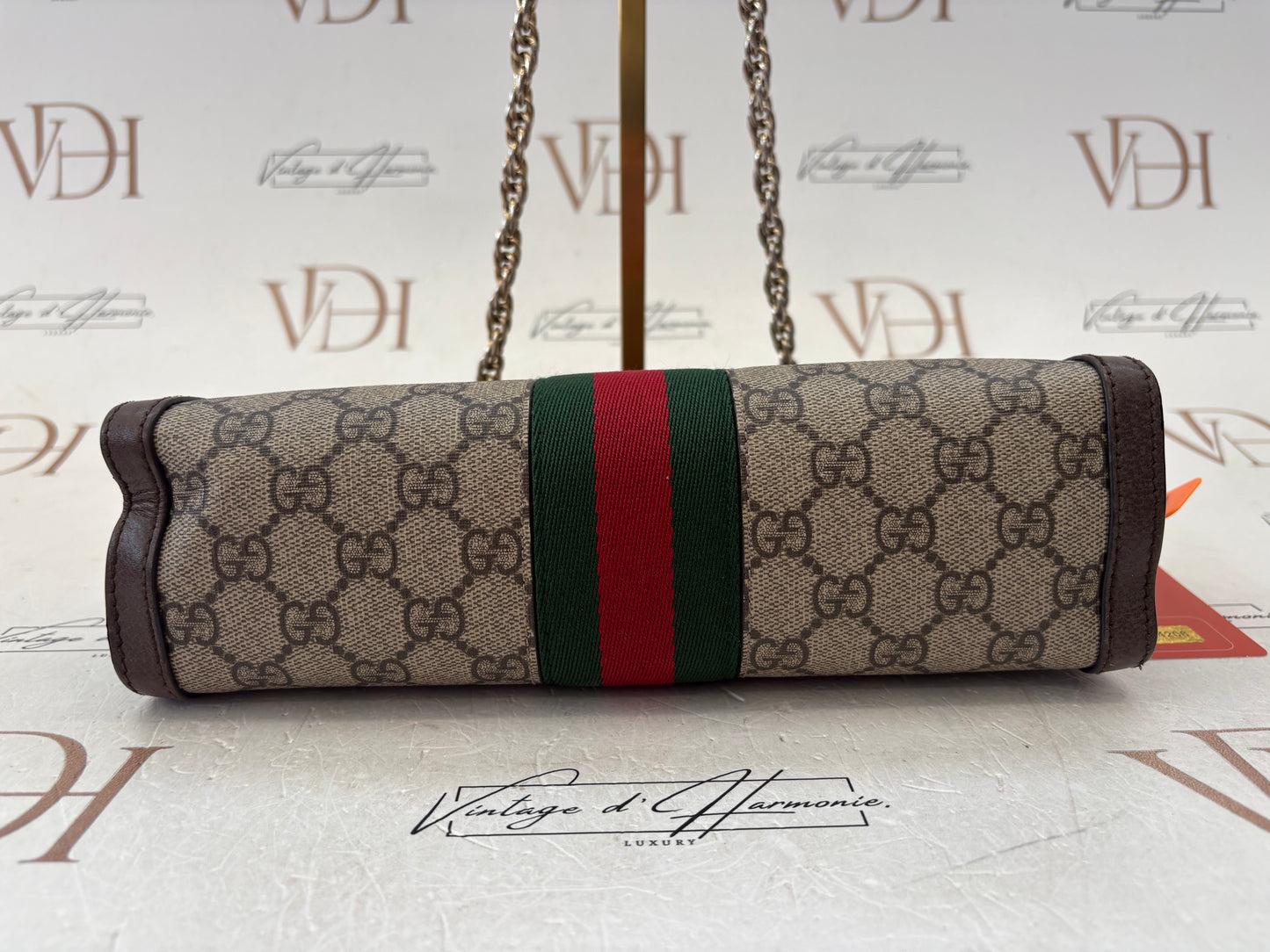 384206 - Gucci Ophidia