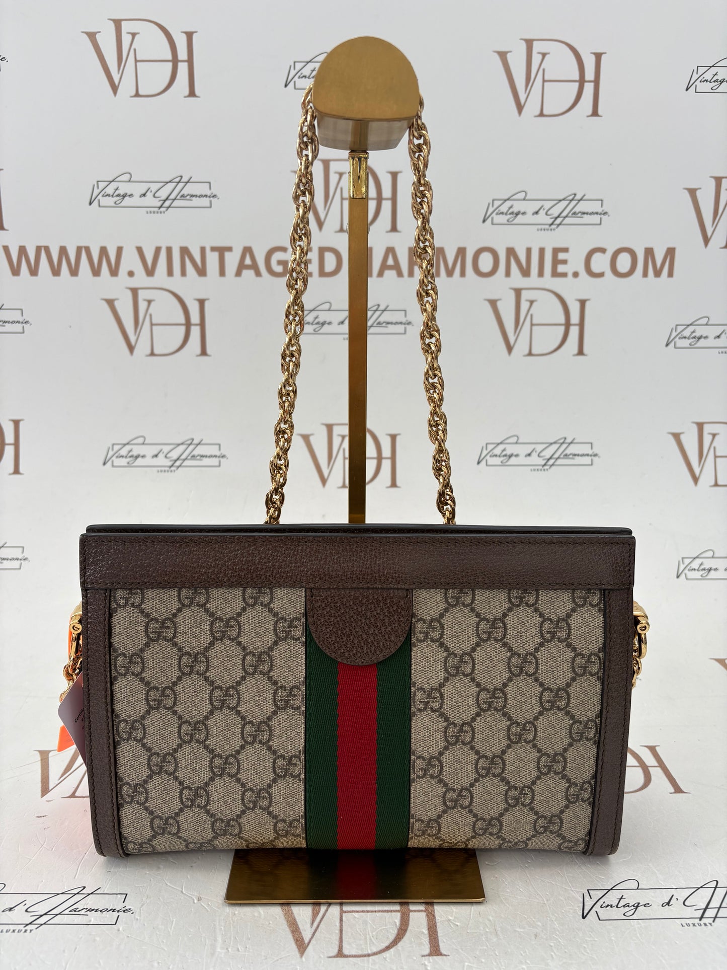 383956 - Gucci Ophidia