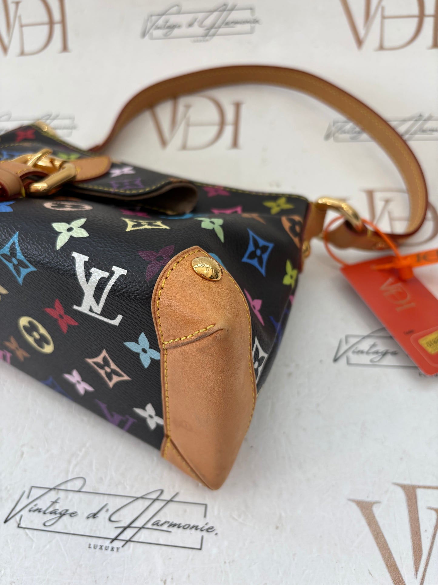 018346 - Louis Vuitton Multicolor Eliza