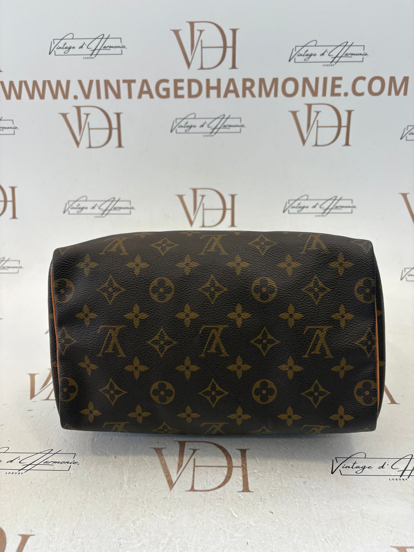 017100 - Louis Vuitton Speedy 25