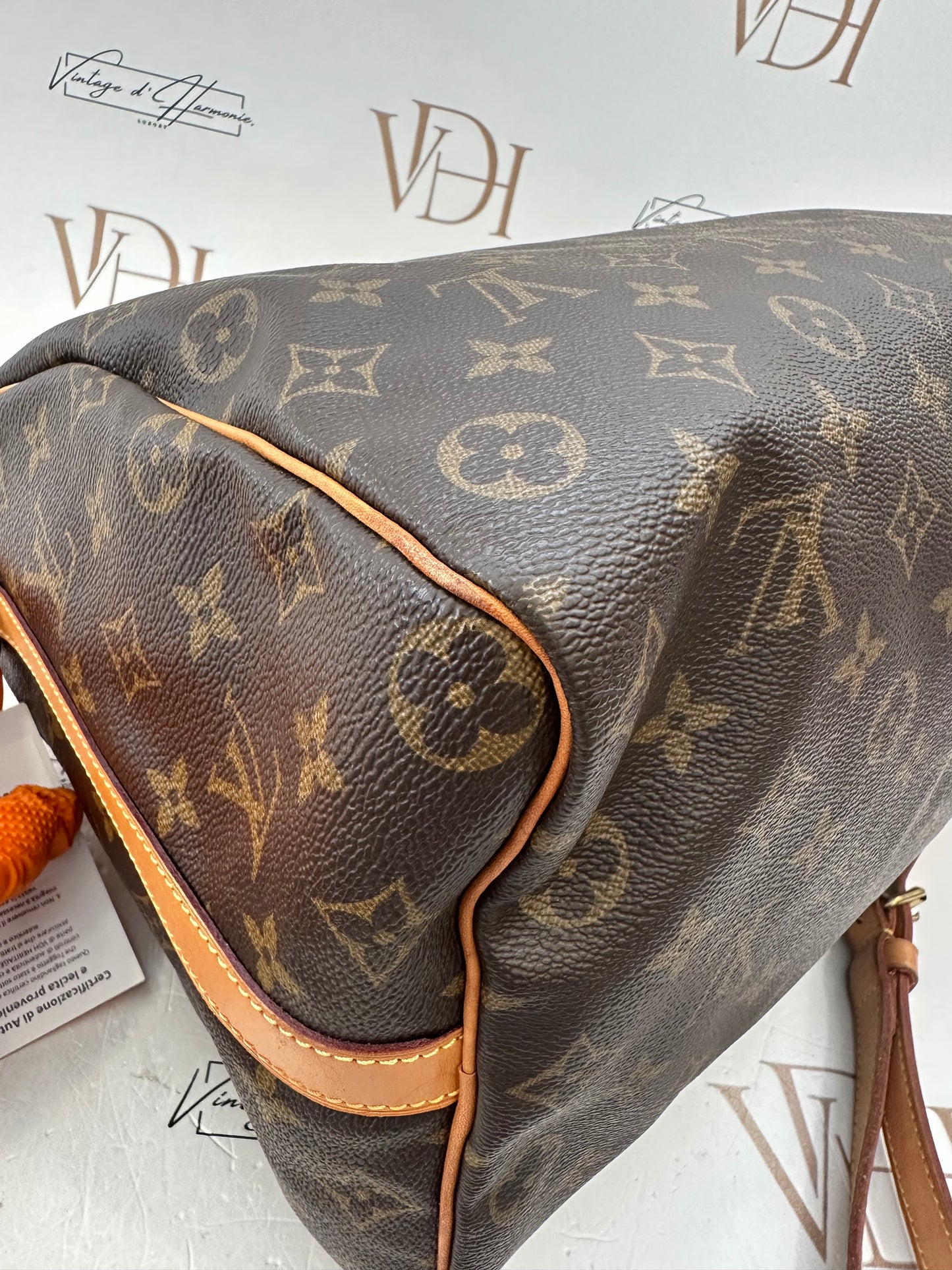 016879 - Louis Vuitton Speedy 35 Bandouliere