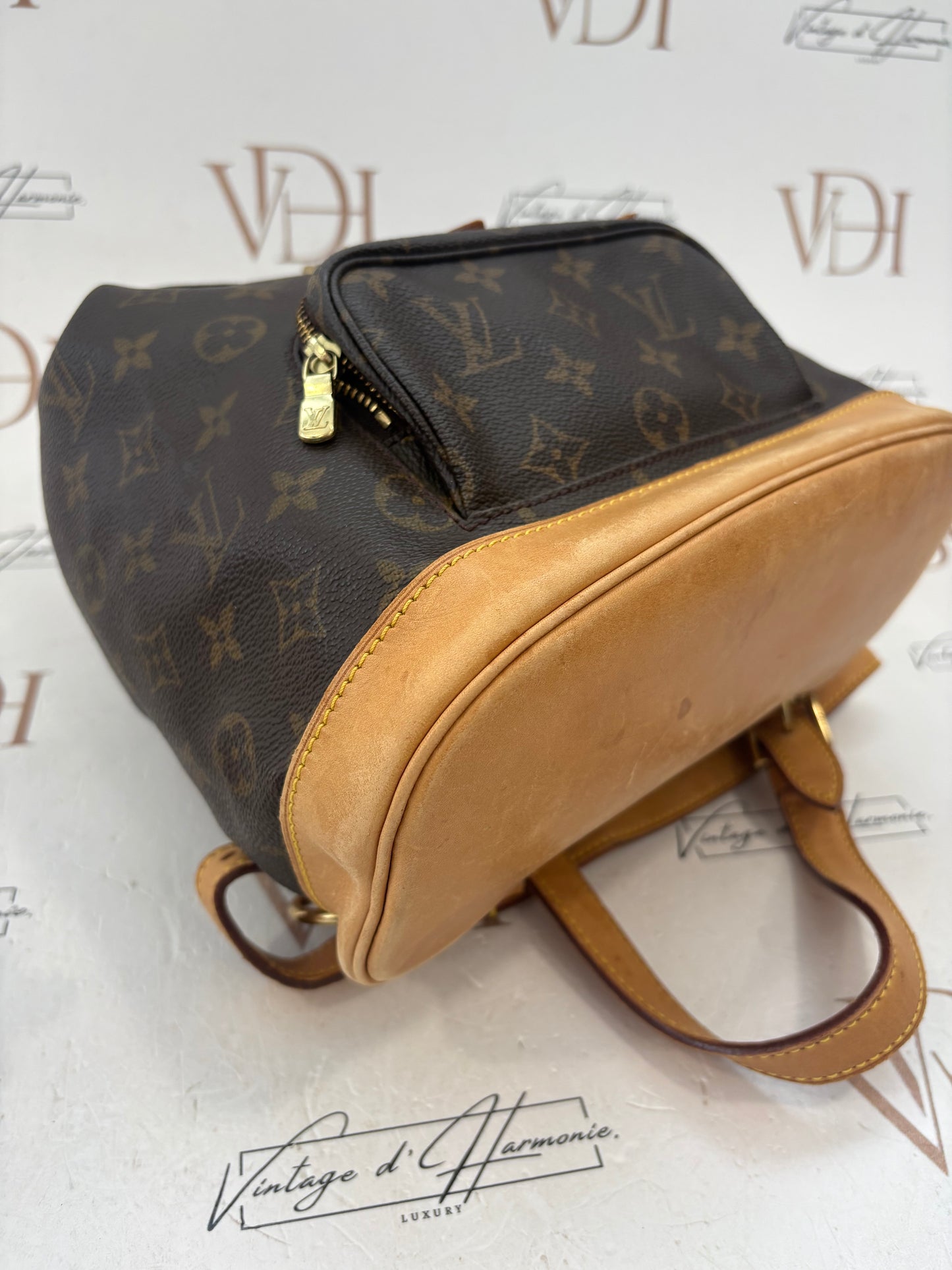 018056 - Louis Vuitton Montsouris MM