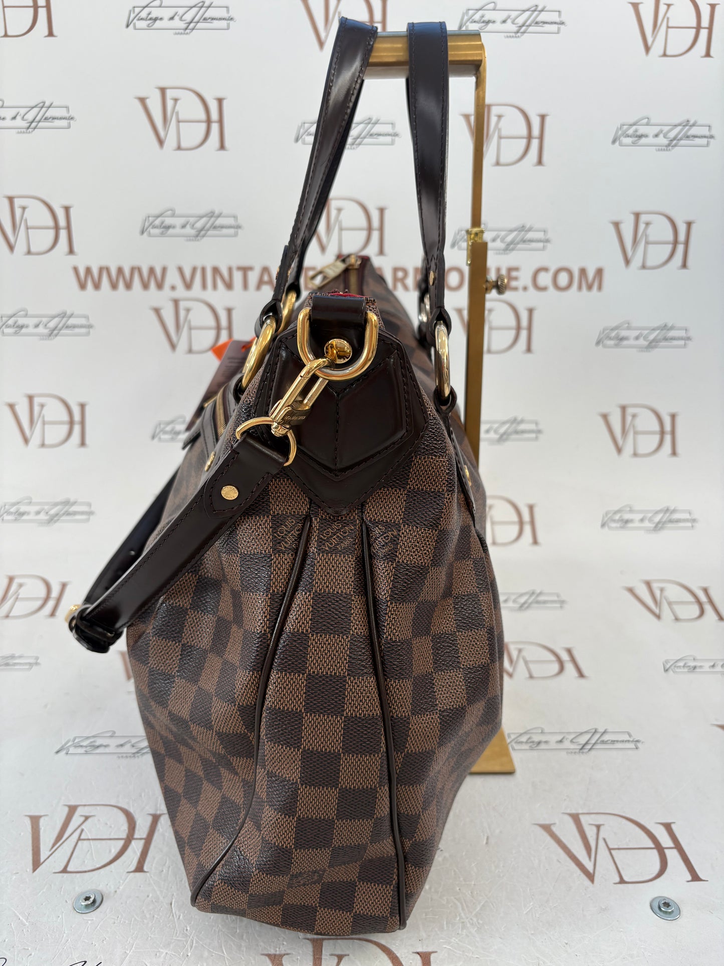 018528 - Louis Vuitton Damier Evora MM