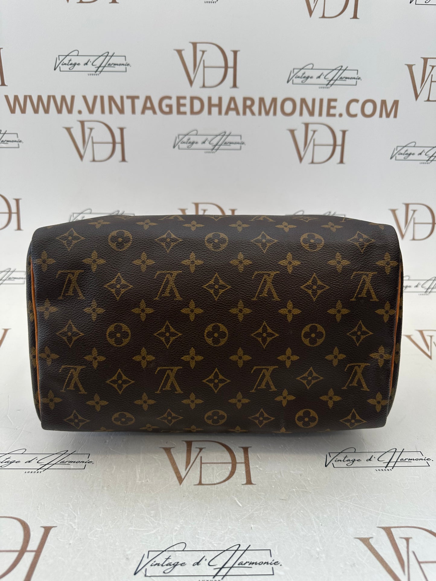017668 - Louis Vuitton Speedy 30