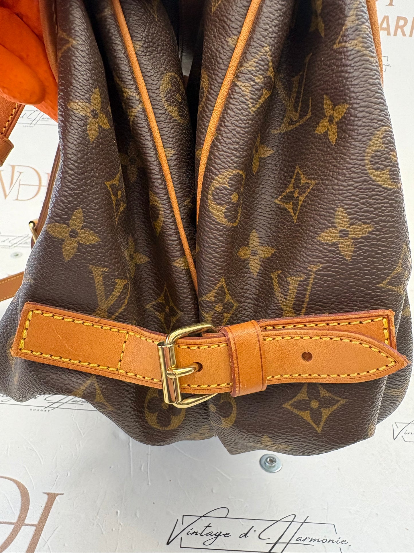018765 - Louis Vuitton Saumur