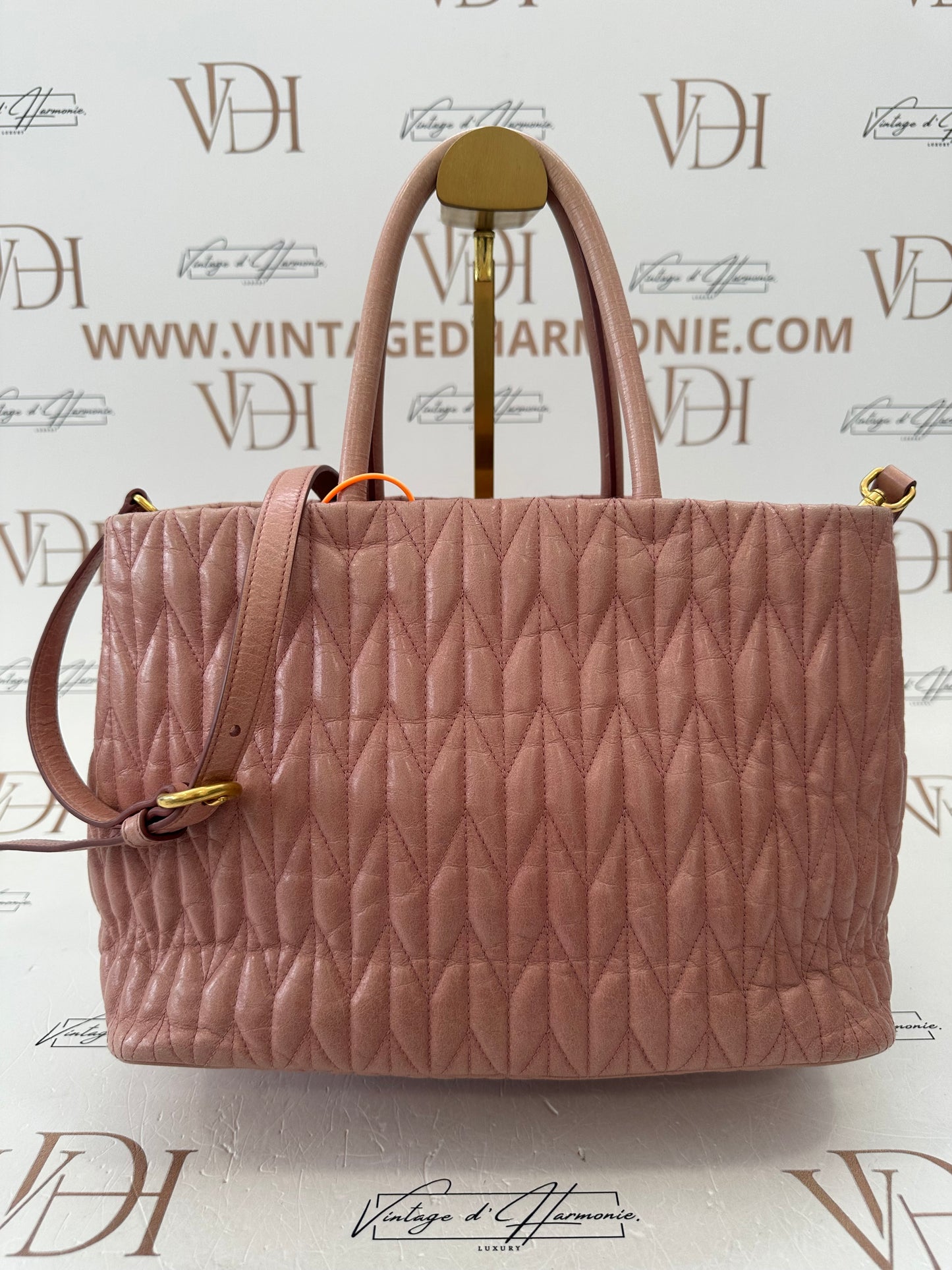 102195 - Miu Miu Bag