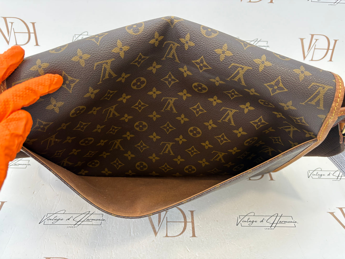 018720 - Louis Vuitton Gibeciere GM