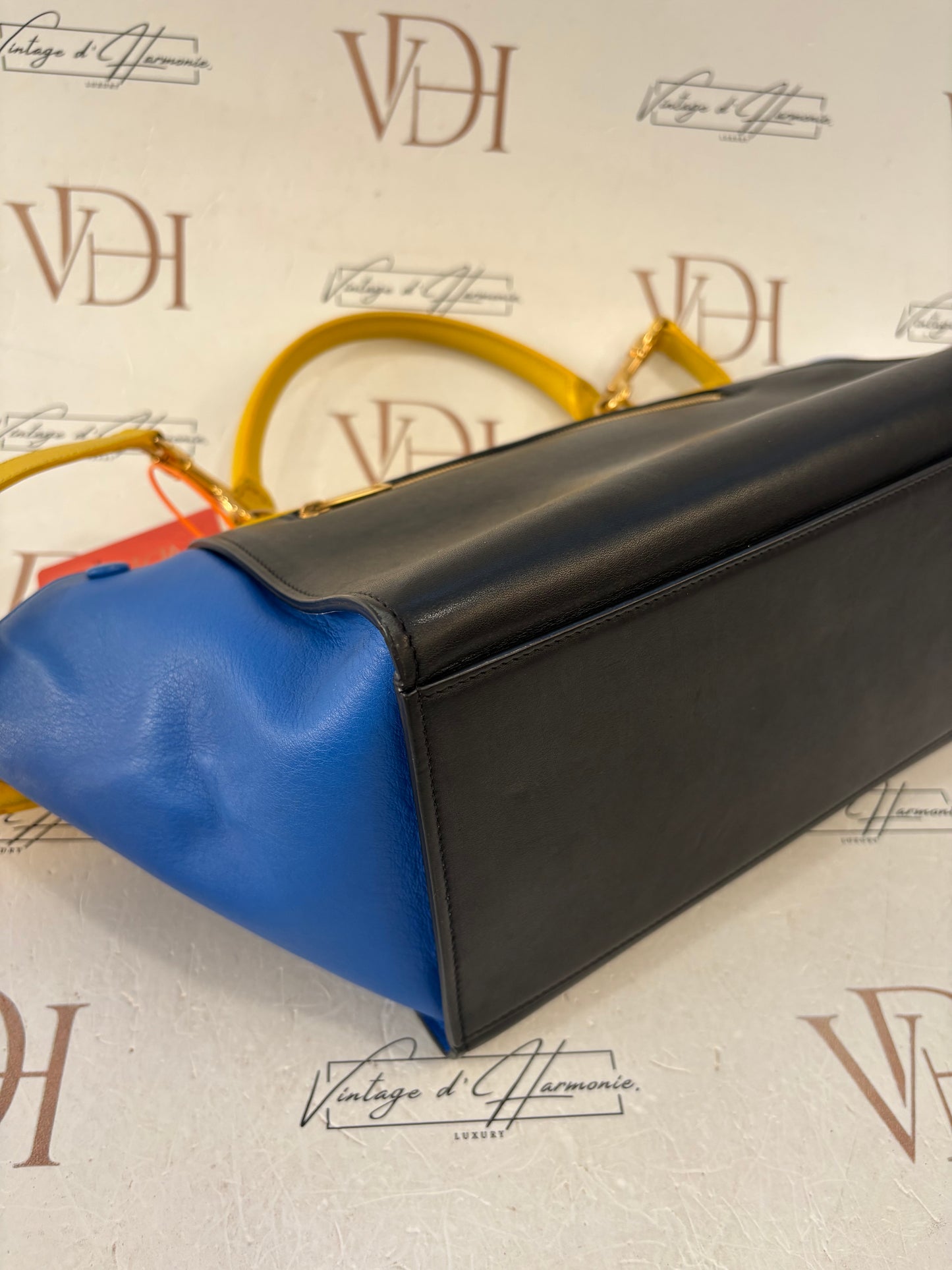 200990 - Céline Trapeze