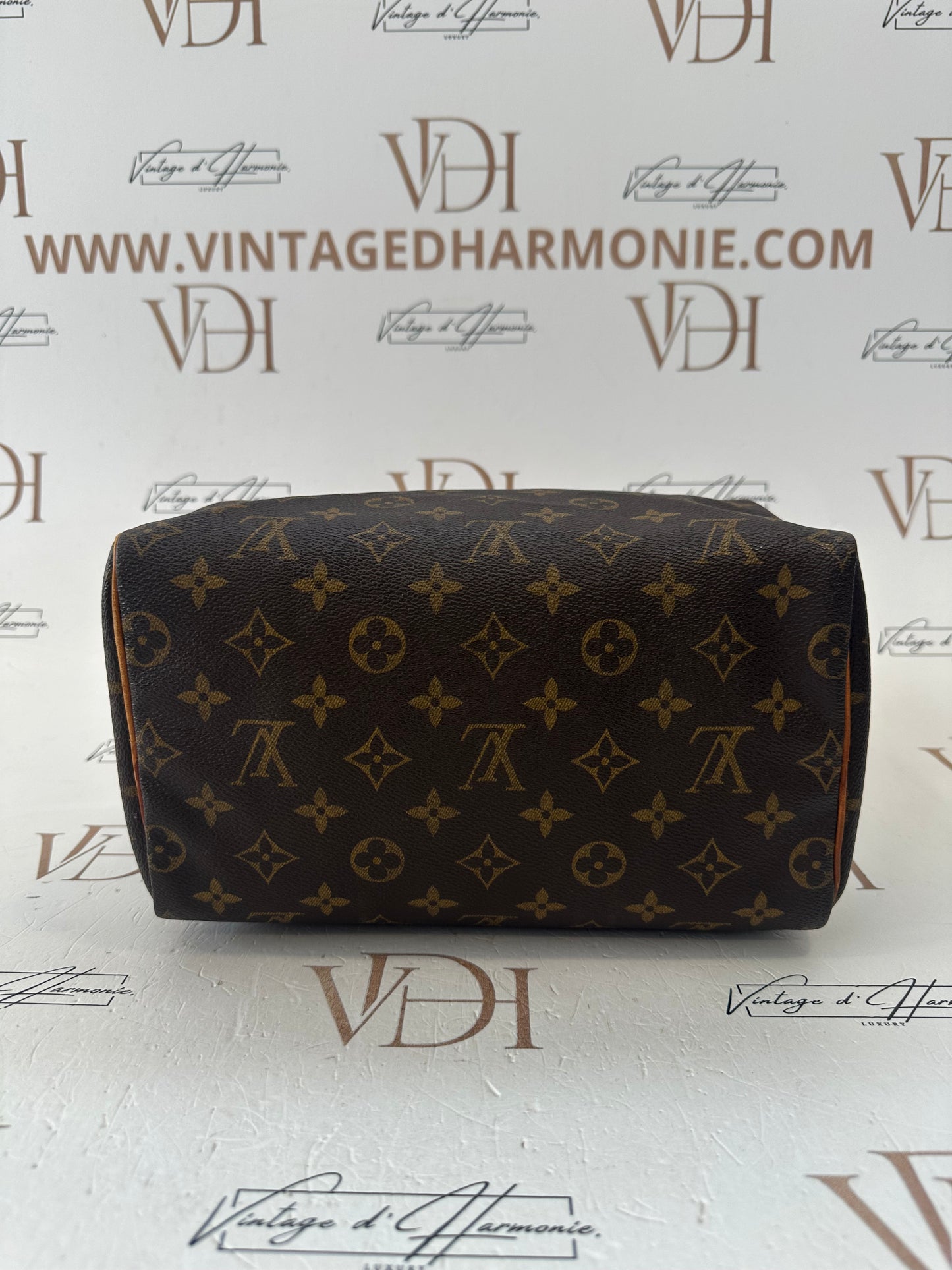 018033 - Louis Vuitton Speedy 25