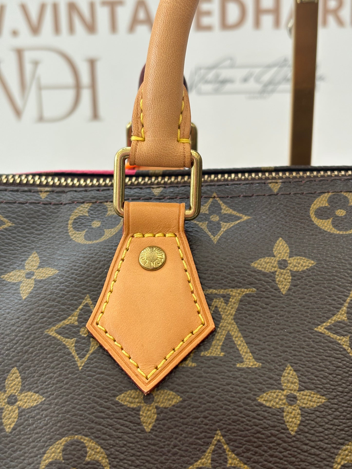 384207 - Louis Vuitton Speedy 30